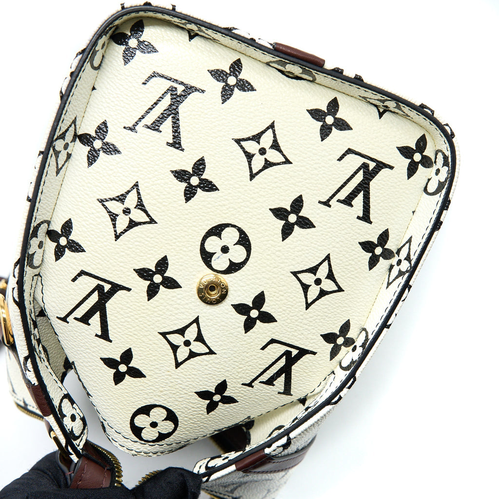 louis-vuitton-speedy-amazon-pm-bag-monogram-canvas-multicoloured-ghw