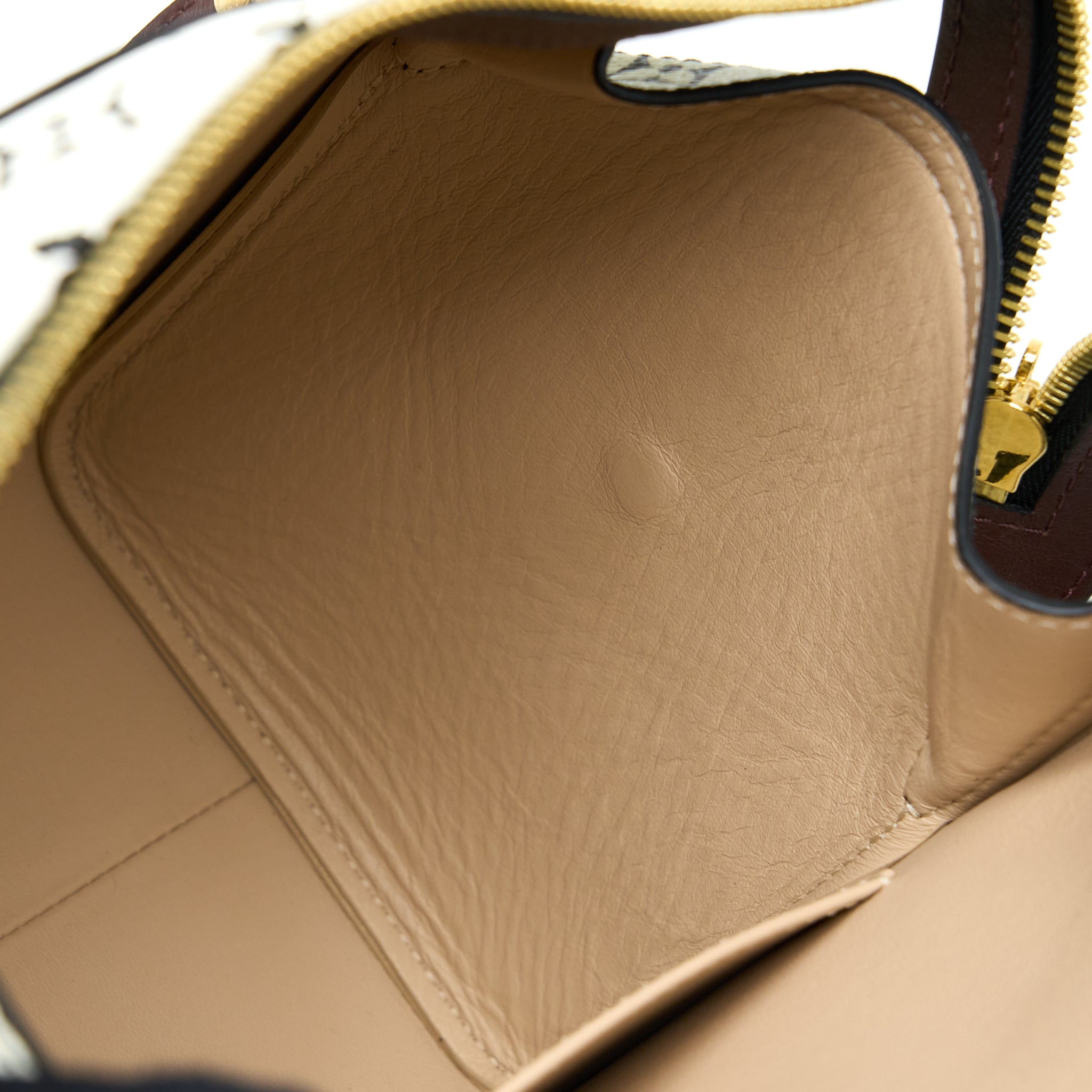 louis-vuitton-speedy-amazon-pm-bag-monogram-canvas-multicoloured-ghw