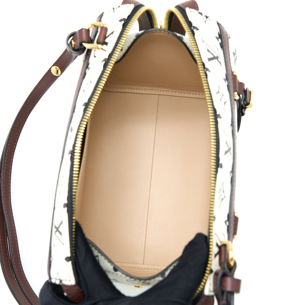 louis-vuitton-speedy-amazon-pm-bag-monogram-canvas-multicoloured-ghw