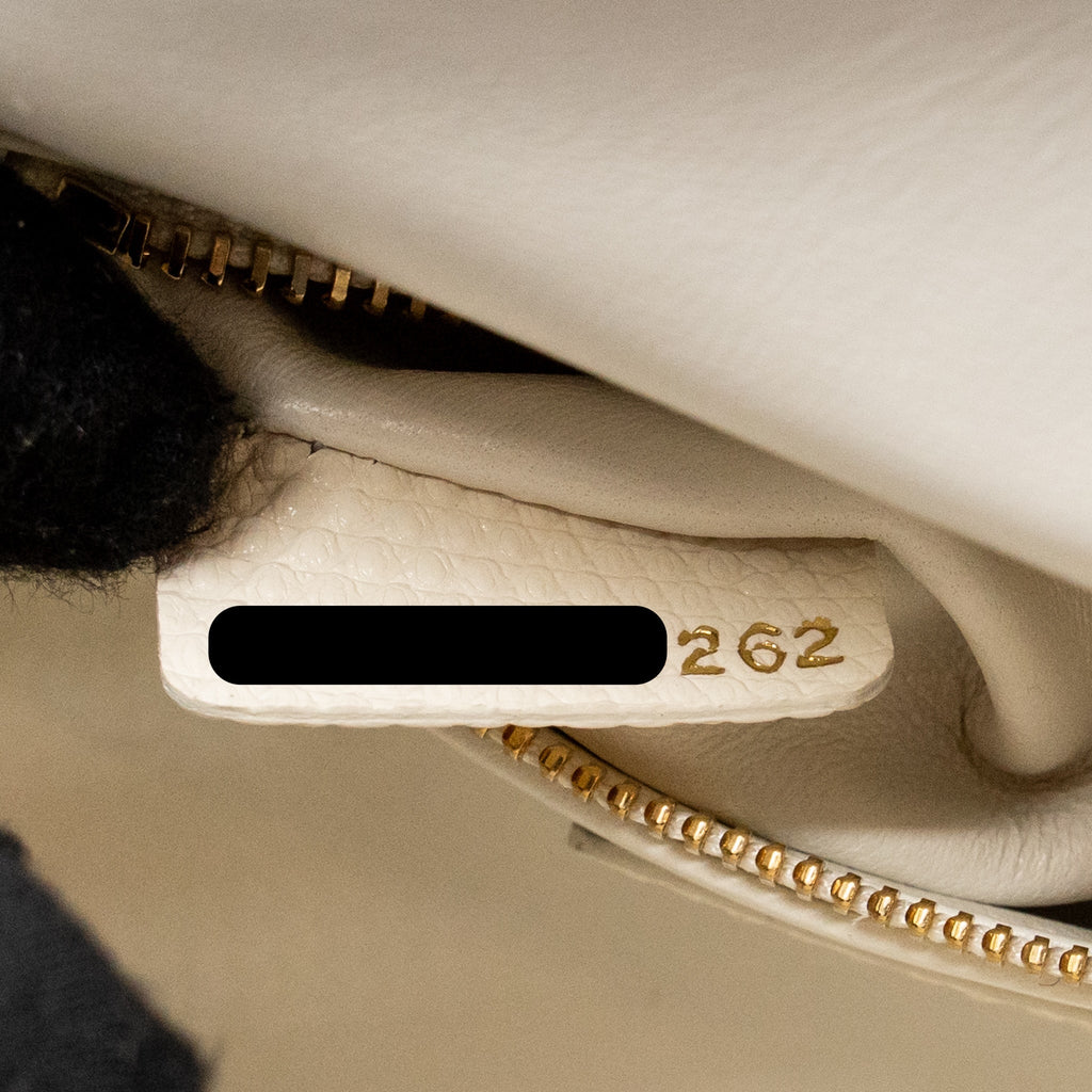 dior-mini-lady-dior-lizard-with-crystal-white-lghw-copy