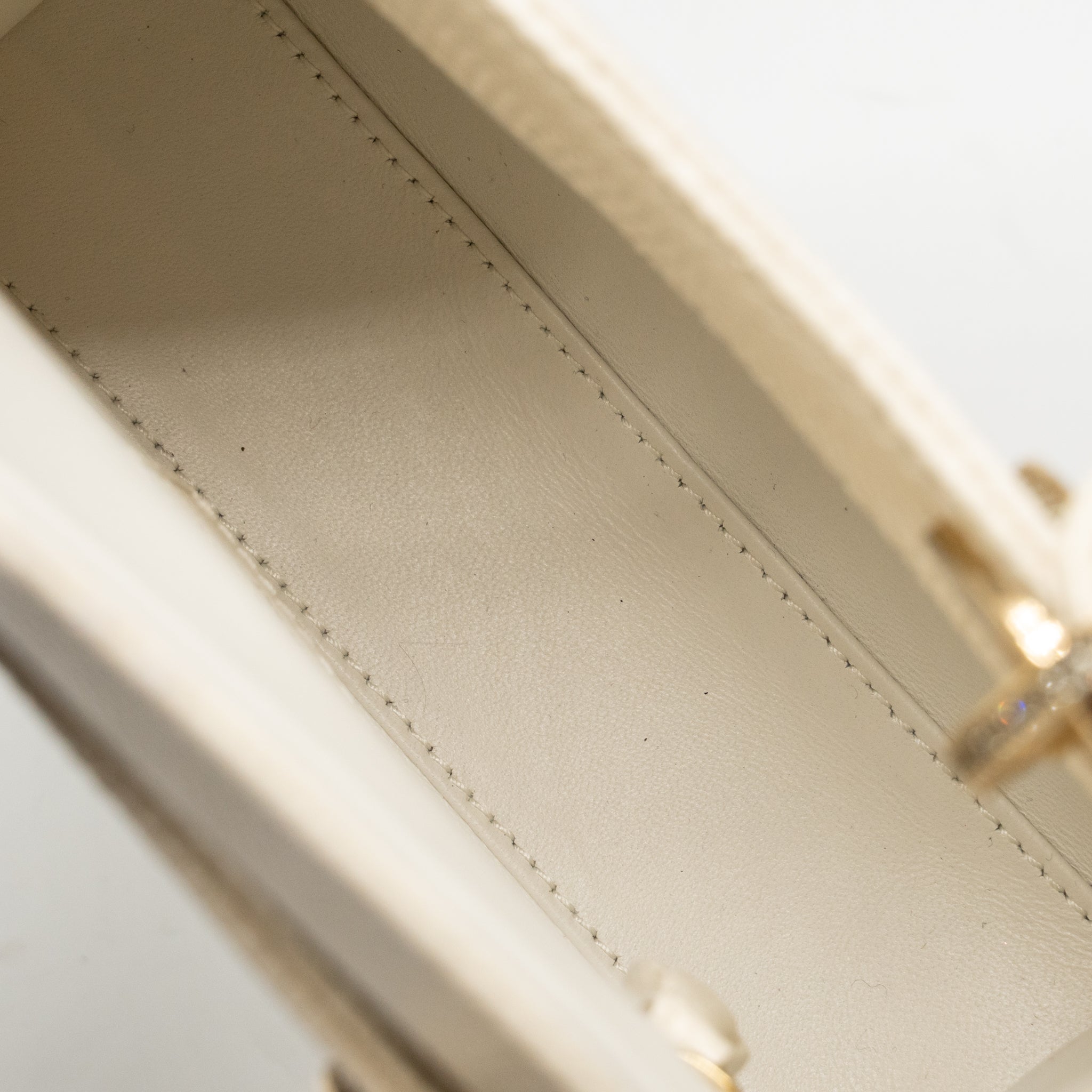 dior-mini-lady-dior-lizard-with-crystal-white-lghw-copy