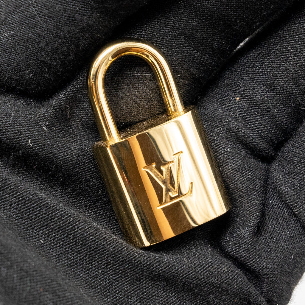 louis-vuitton-alma-bb-damier-ebene-ghw-4