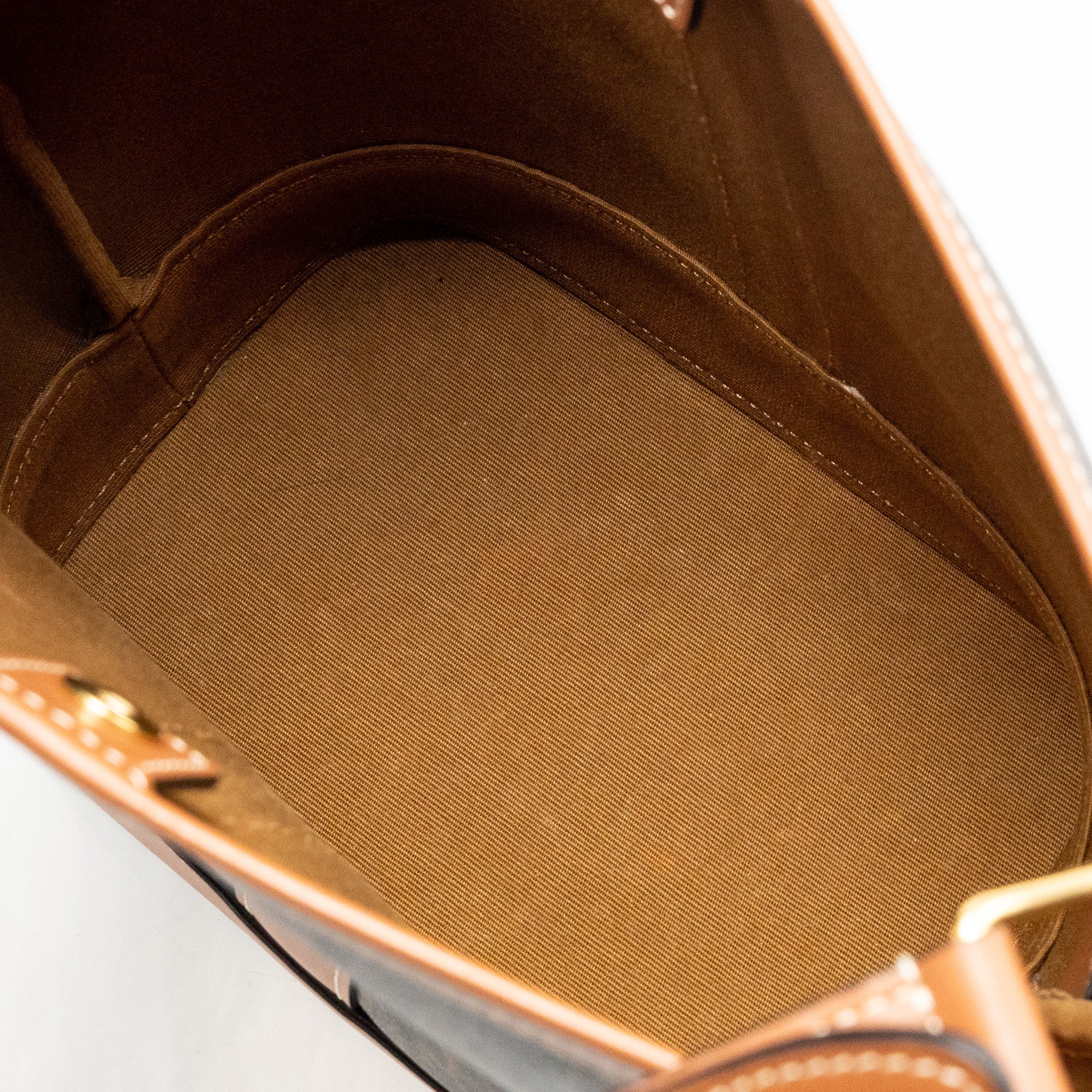 celine-small-bucket-bag-triomphe-canvas-calfskin-tan-ghw-1