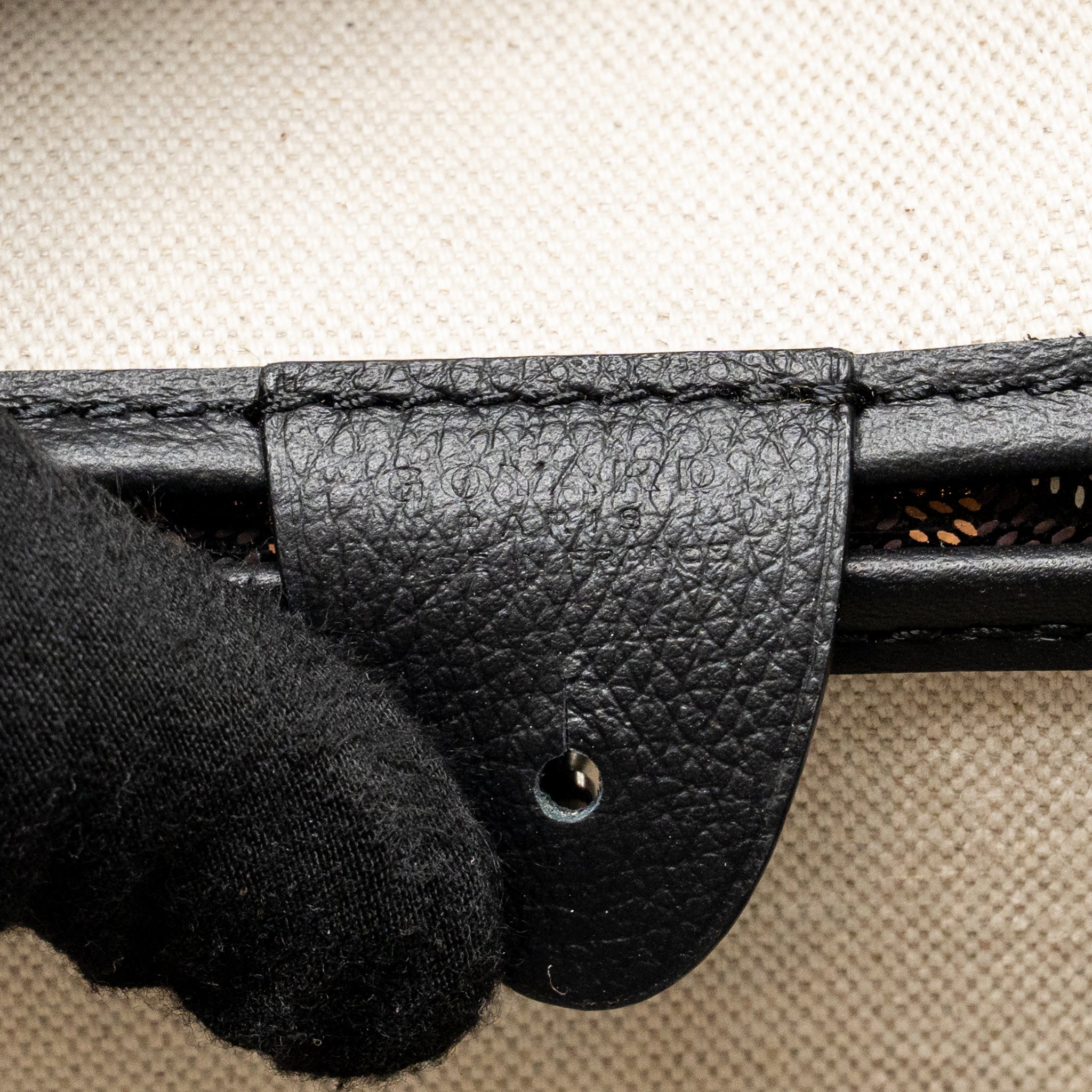 goyard-artois-mm-tote-bag-goyardine-canvas-calfskin-black-shw