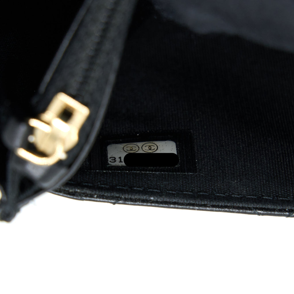 chanel-quilted-wallet-on-chain-with-camellia-chain-lambskin-black-lghw