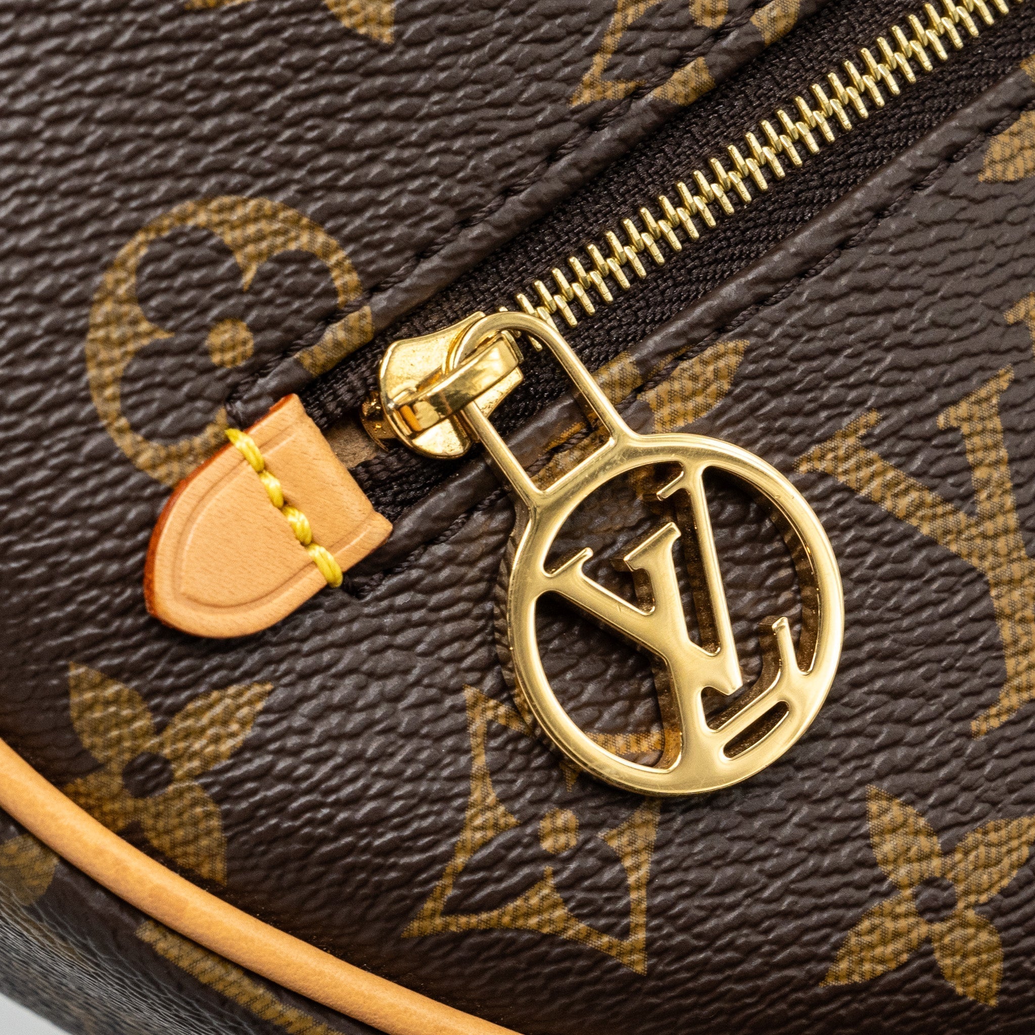 louis-vuitton-loop-bag-monogram-canvas-ghw-new-version-copy