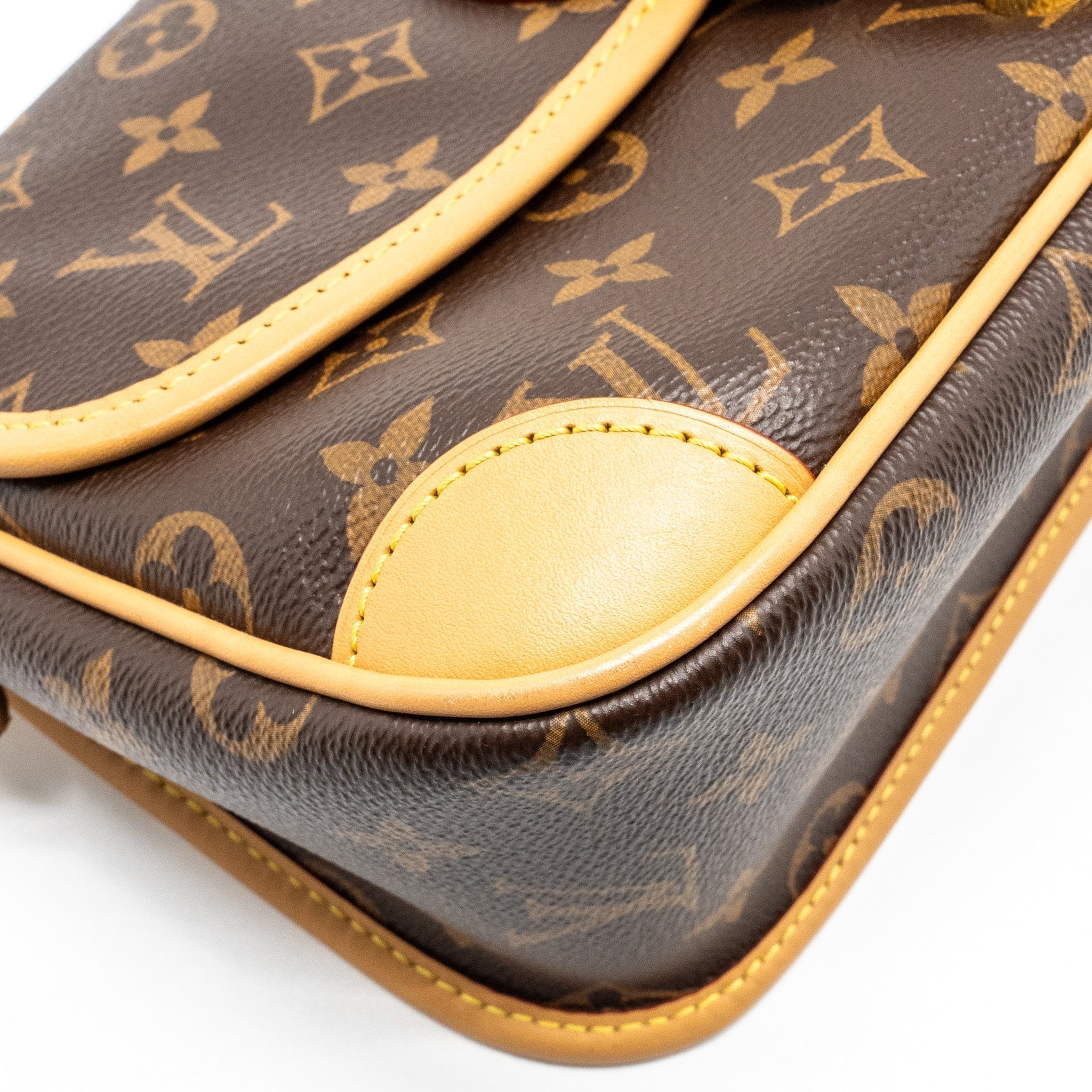 louis-vuitton-diane-bag-with-jacquard-strap-monogram-canvas-ghw