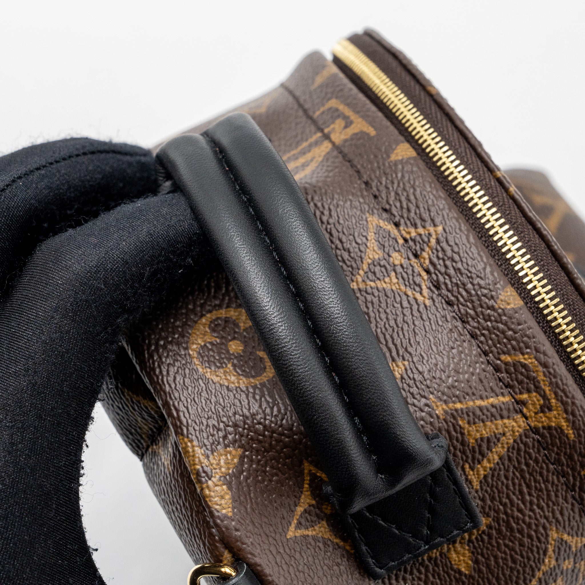 louis-vuitton-palm-spring-mini-backpack-monogram-canvas-ghw-8