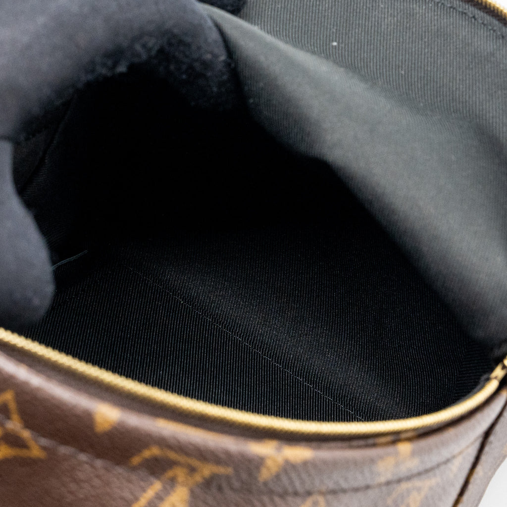 louis-vuitton-palm-spring-mini-backpack-monogram-canvas-ghw-8