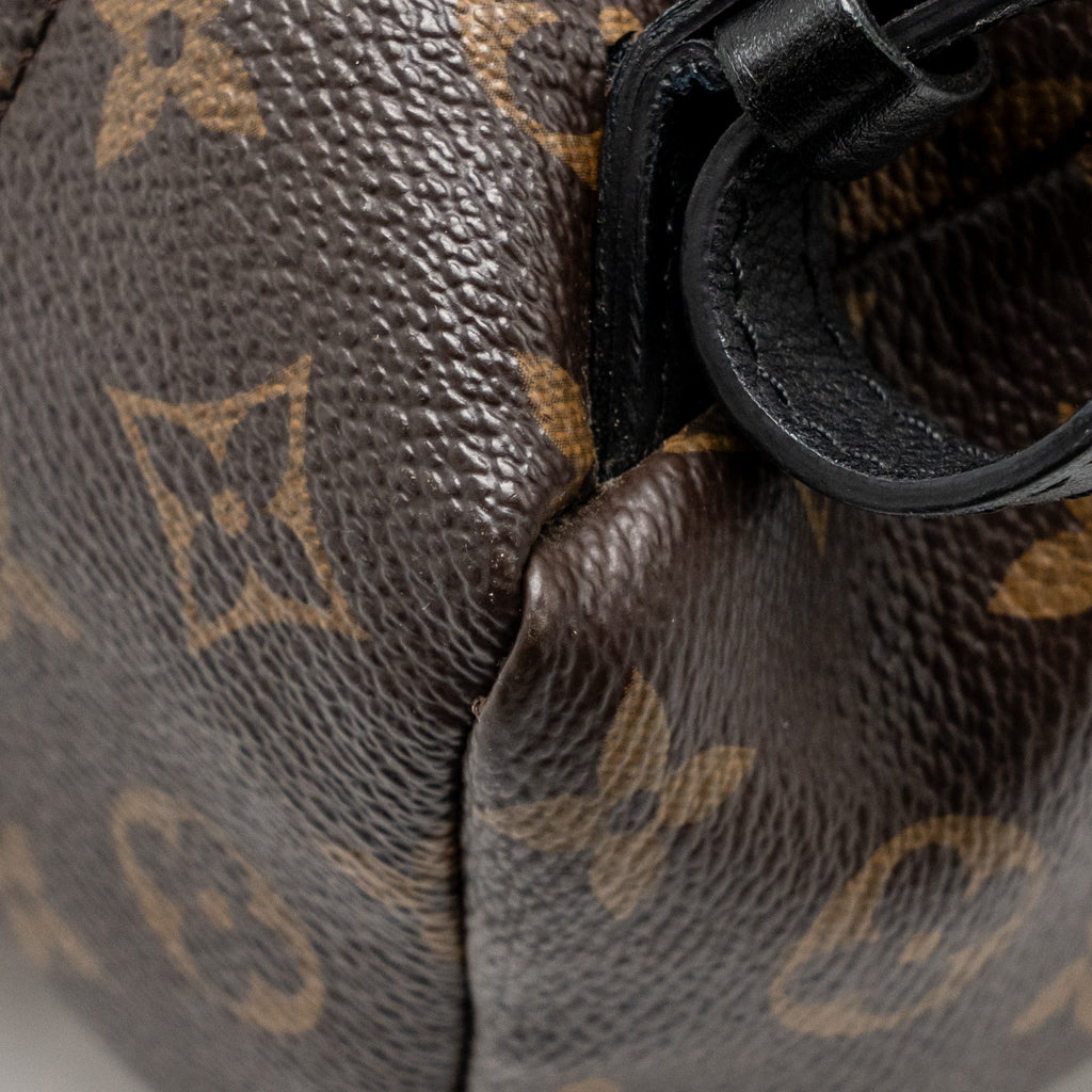 louis-vuitton-palm-spring-pm-backpack-monogram-canvas-ghw-4