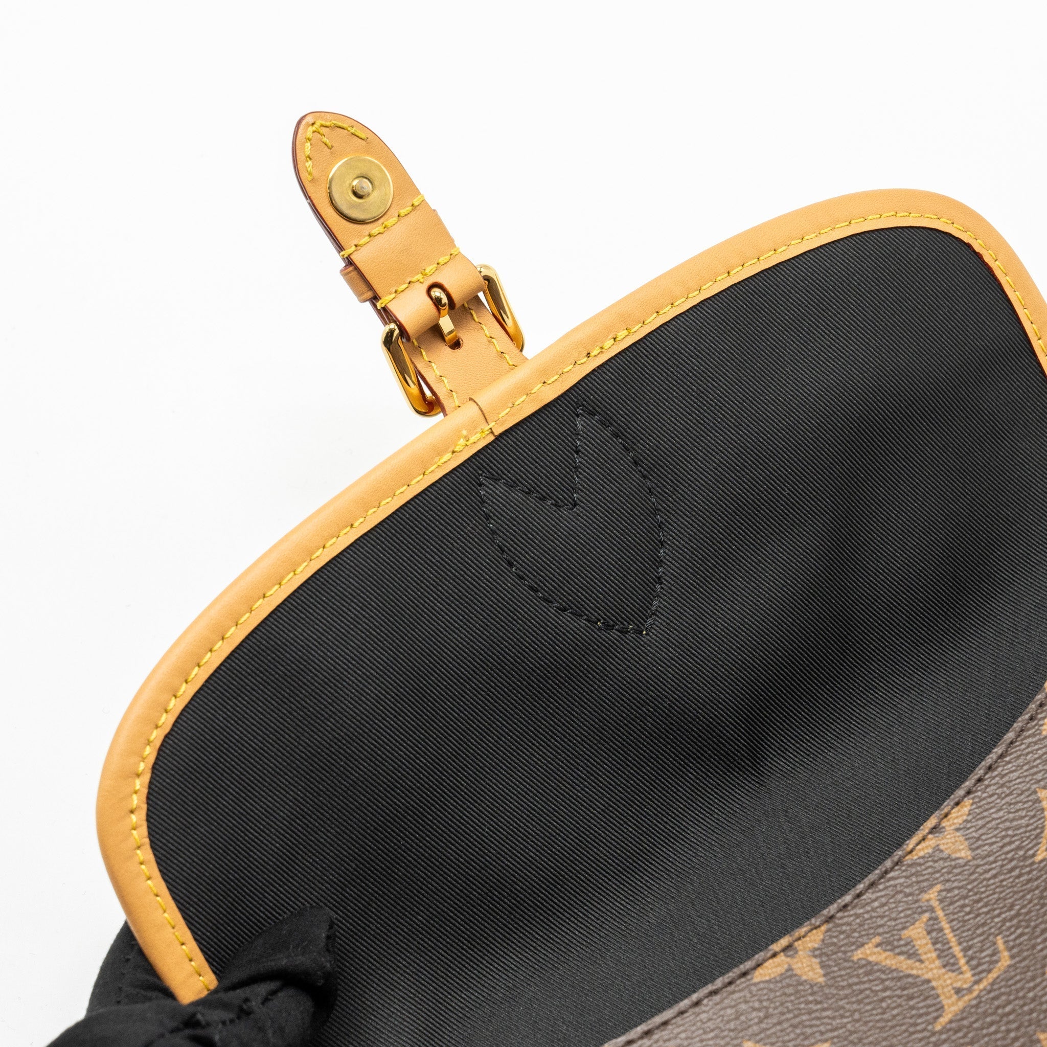 louis-vuitton-diane-bag-with-jacquard-strap-monogram-canvas-ghw