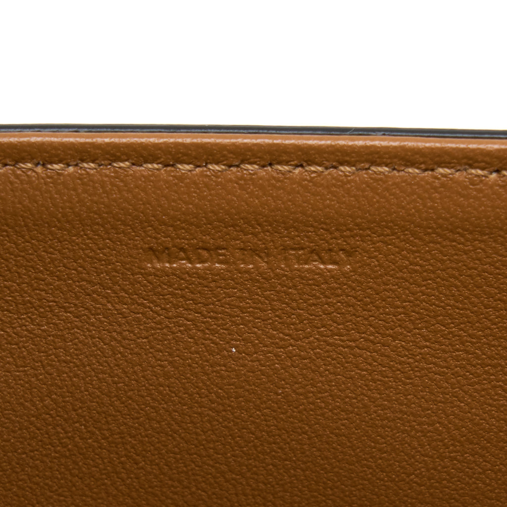 celine-medium-triomphe-bag-in-textile-natural-calfskin-ghw