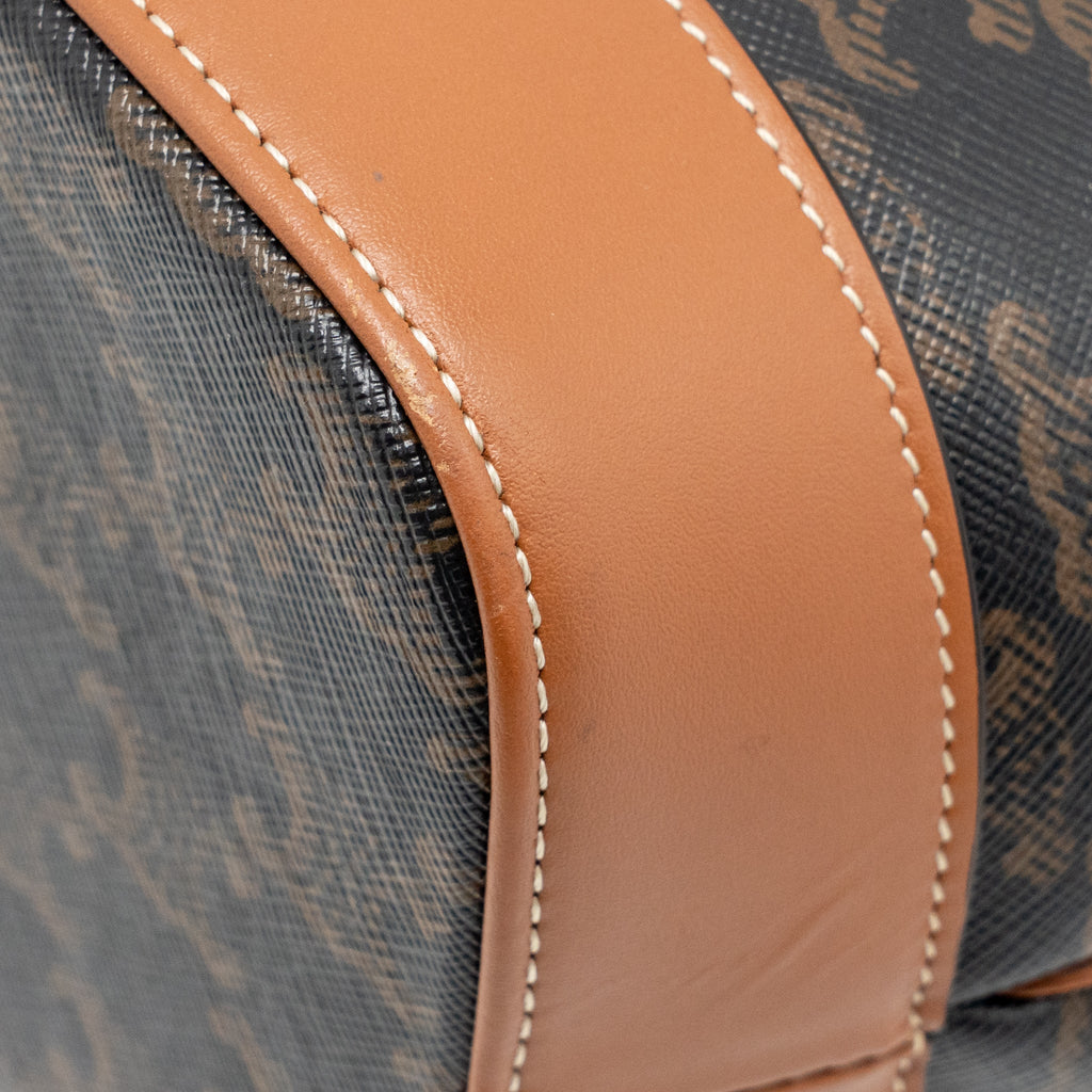 celine-small-bucket-bag-triomphe-canvas-calfskin-tan-ghw-1