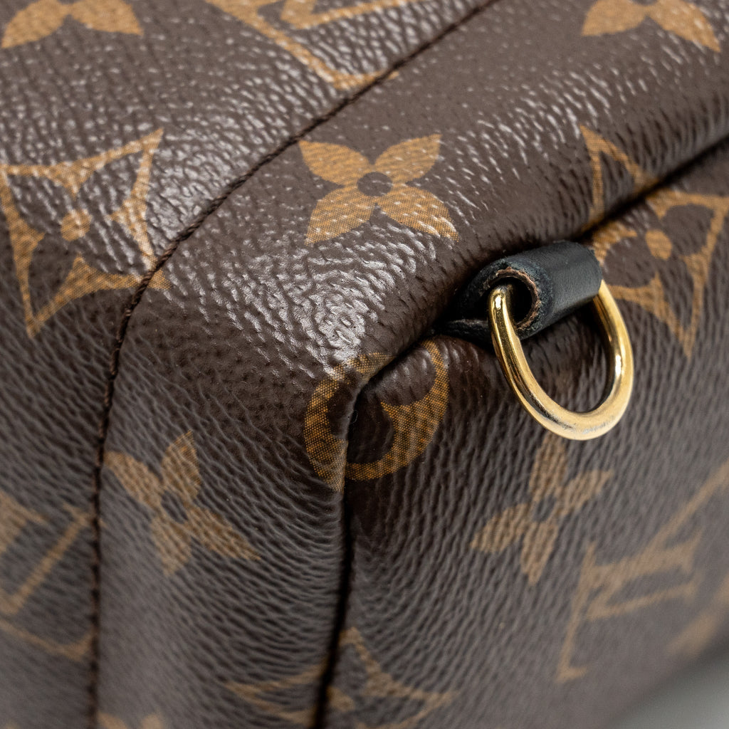louis-vuitton-mini-palm-spring-backpack-monogram-canvas-ghw-11