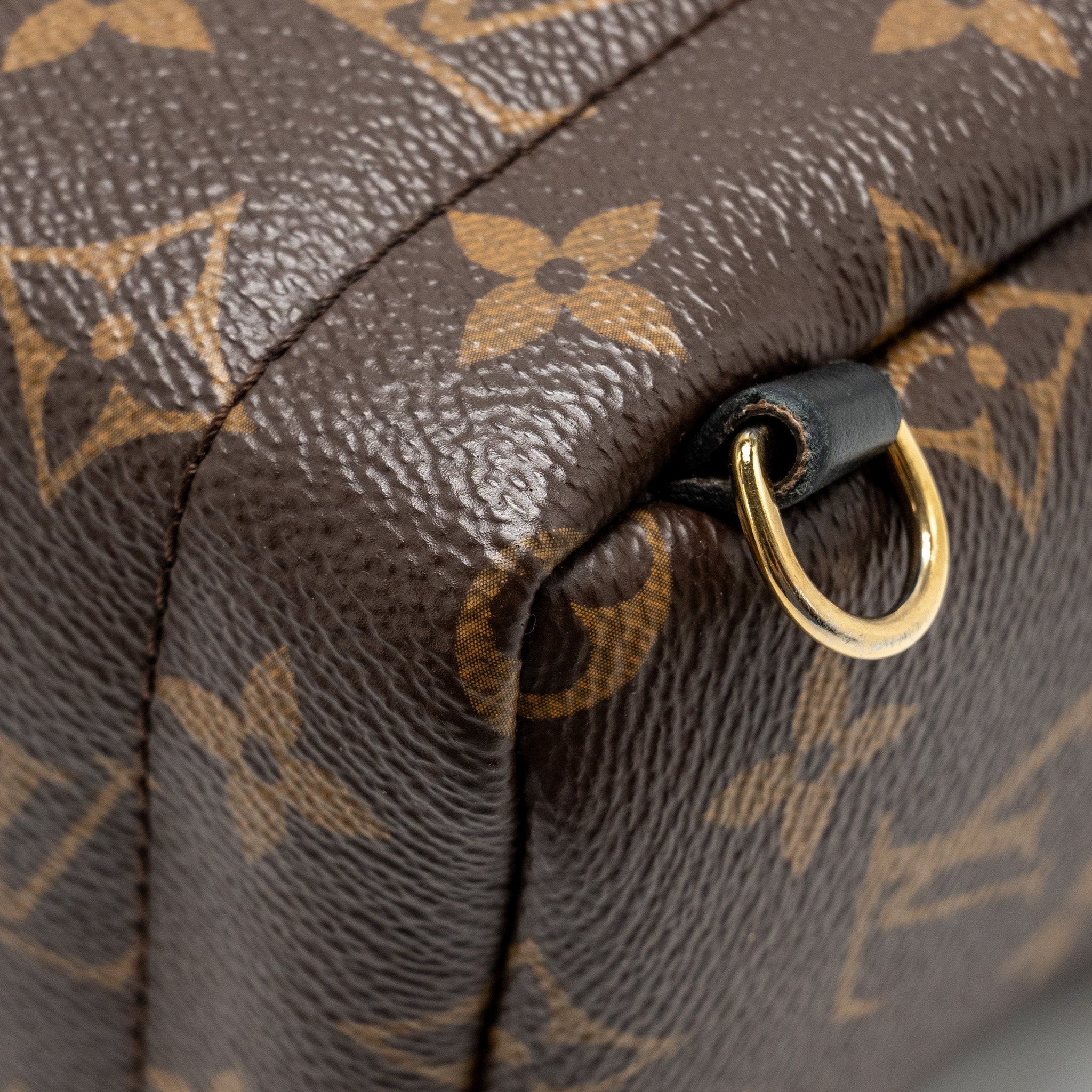louis-vuitton-mini-palm-spring-backpack-monogram-canvas-ghw-11
