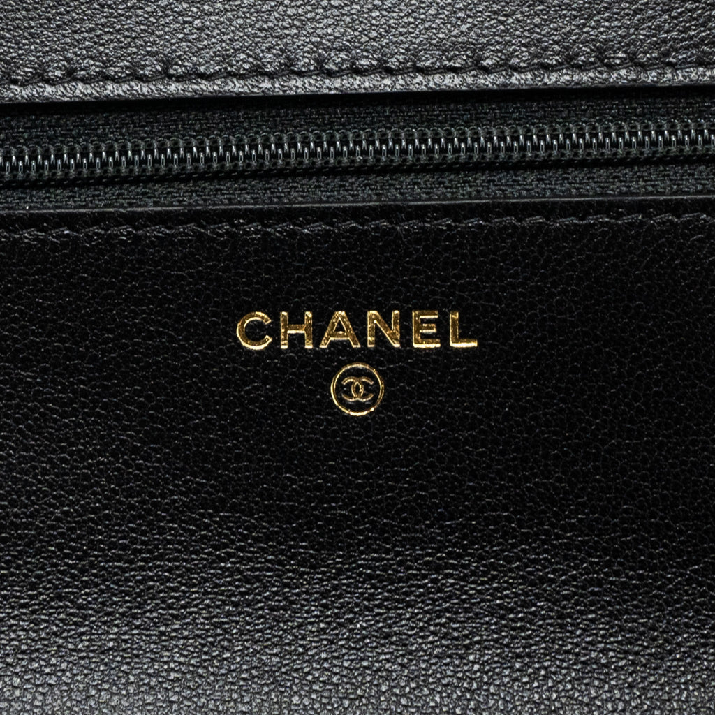 chanel-19-wallet-on-chain-lambskin-multicolour-hardware-microchip