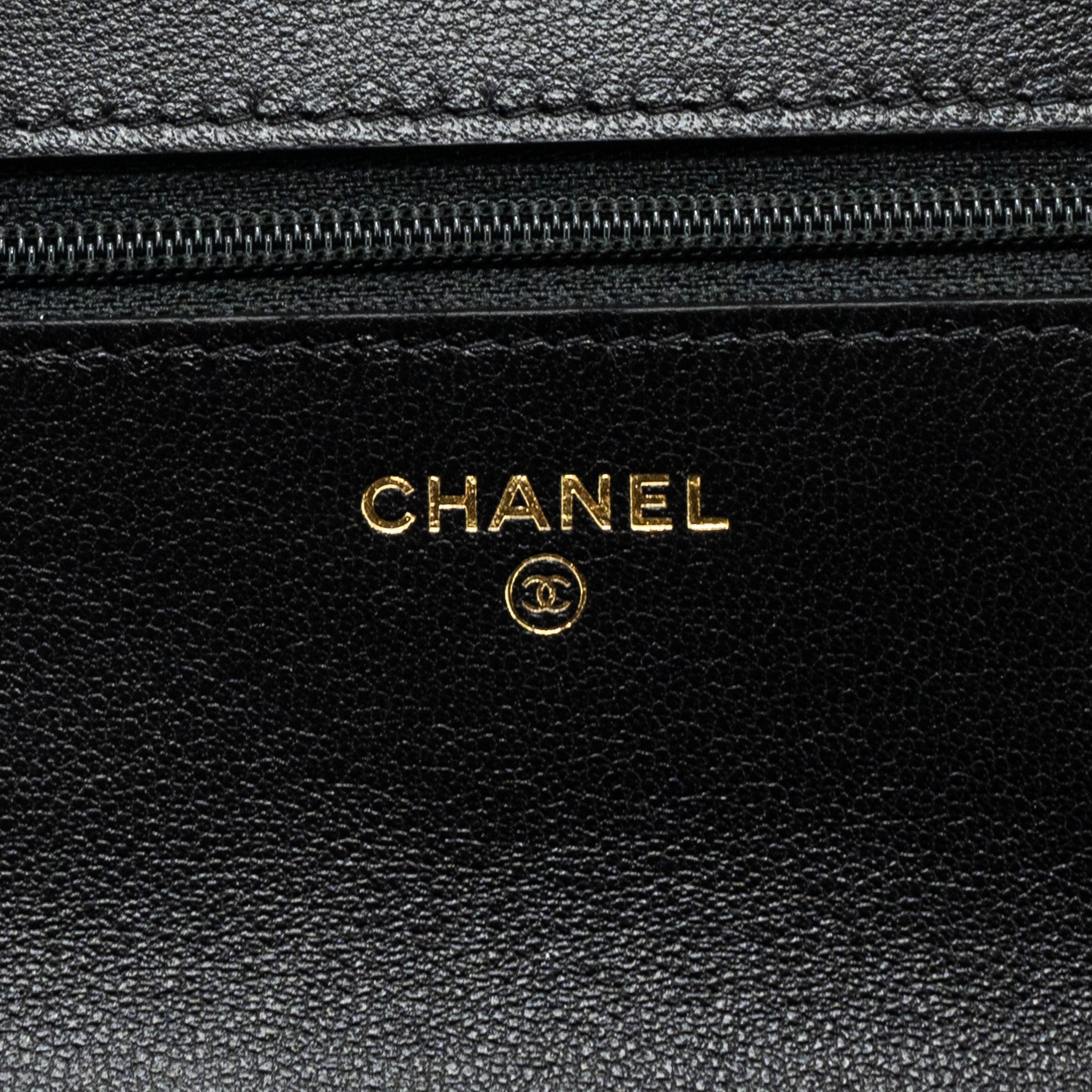 chanel-19-wallet-on-chain-lambskin-multicolour-hardware-microchip