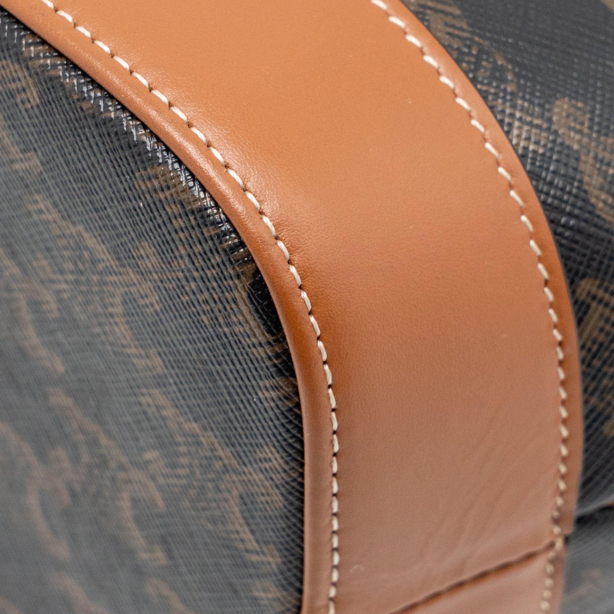 celine-small-bucket-bag-triomphe-canvas-calfskin-tan-ghw-1