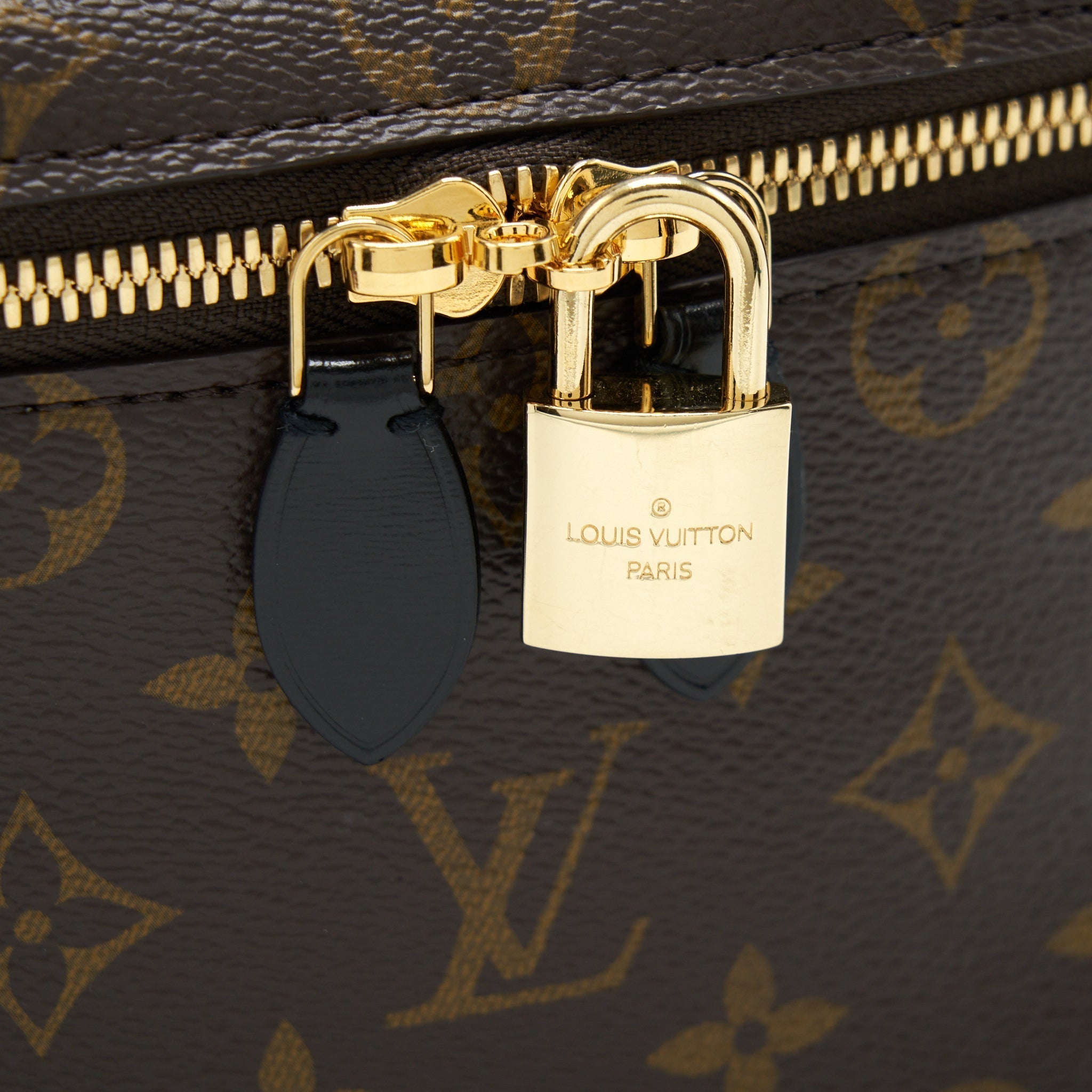 louis-vuitton-vanity-pm-monogram-canvas-year-2021-with-an-extra-twilly