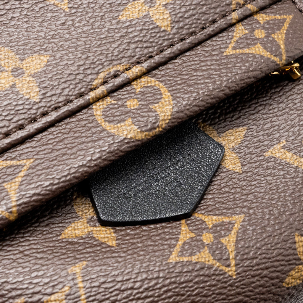 louis-vuitton-mini-palm-spring-backpack-monogram-canvas-ghw-new-zipper