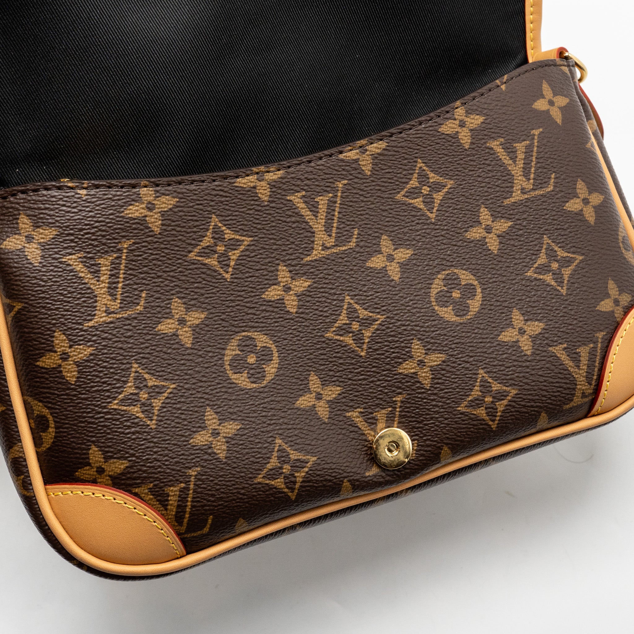 louis-vuitton-diane-bag-monogram-canvas-ghw-1