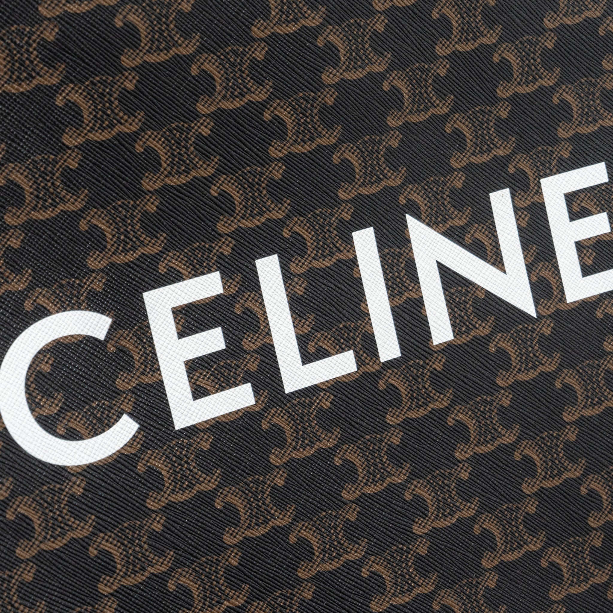 celine-vertical-cabas-triomphe-canvas-ghw-3