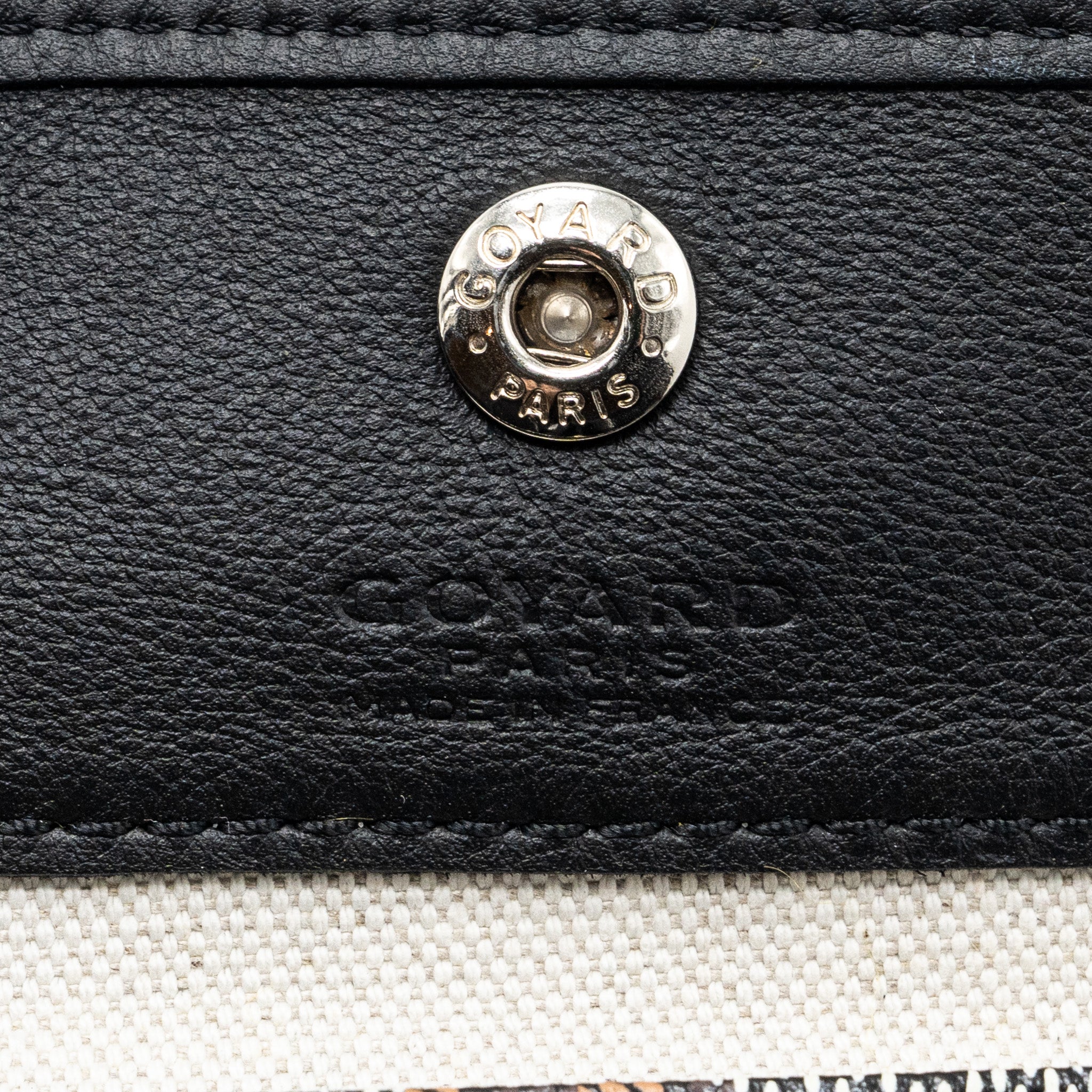 goyard-anjou-mini-bag-cavas-calfskin-black-shw