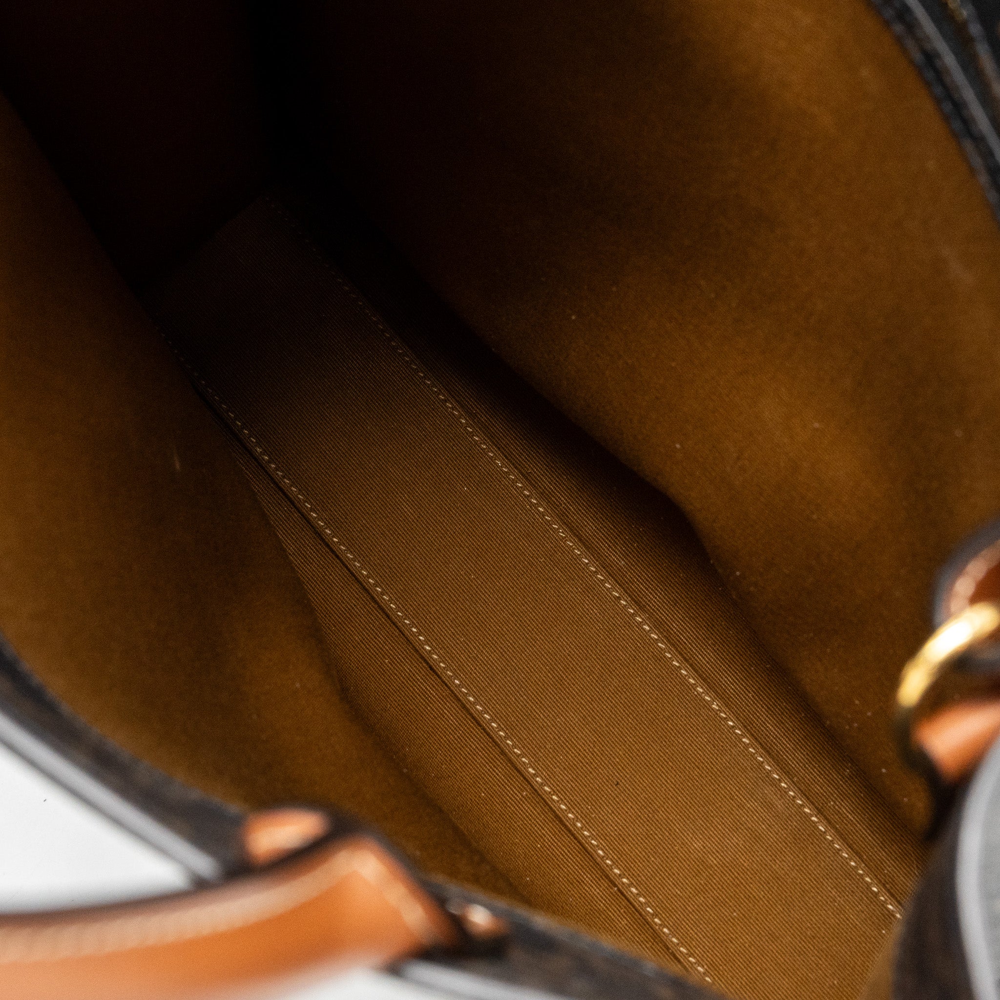 celine-vertical-cabas-triomphe-canvas-ghw-3