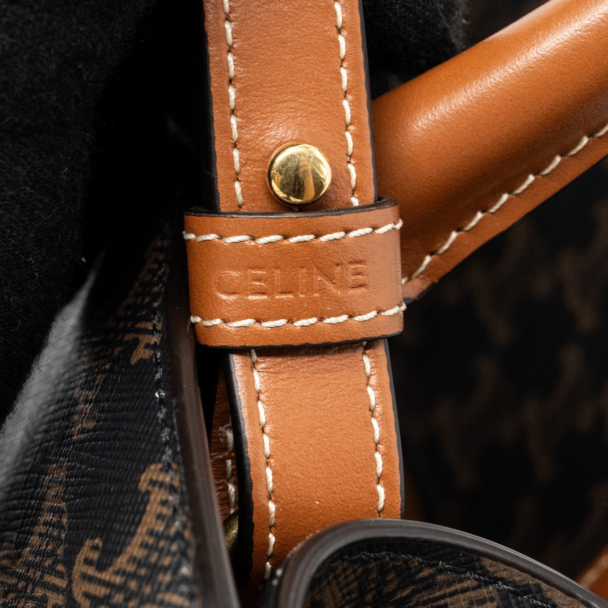 celine-vertical-cabas-triomphe-canvas-ghw-3