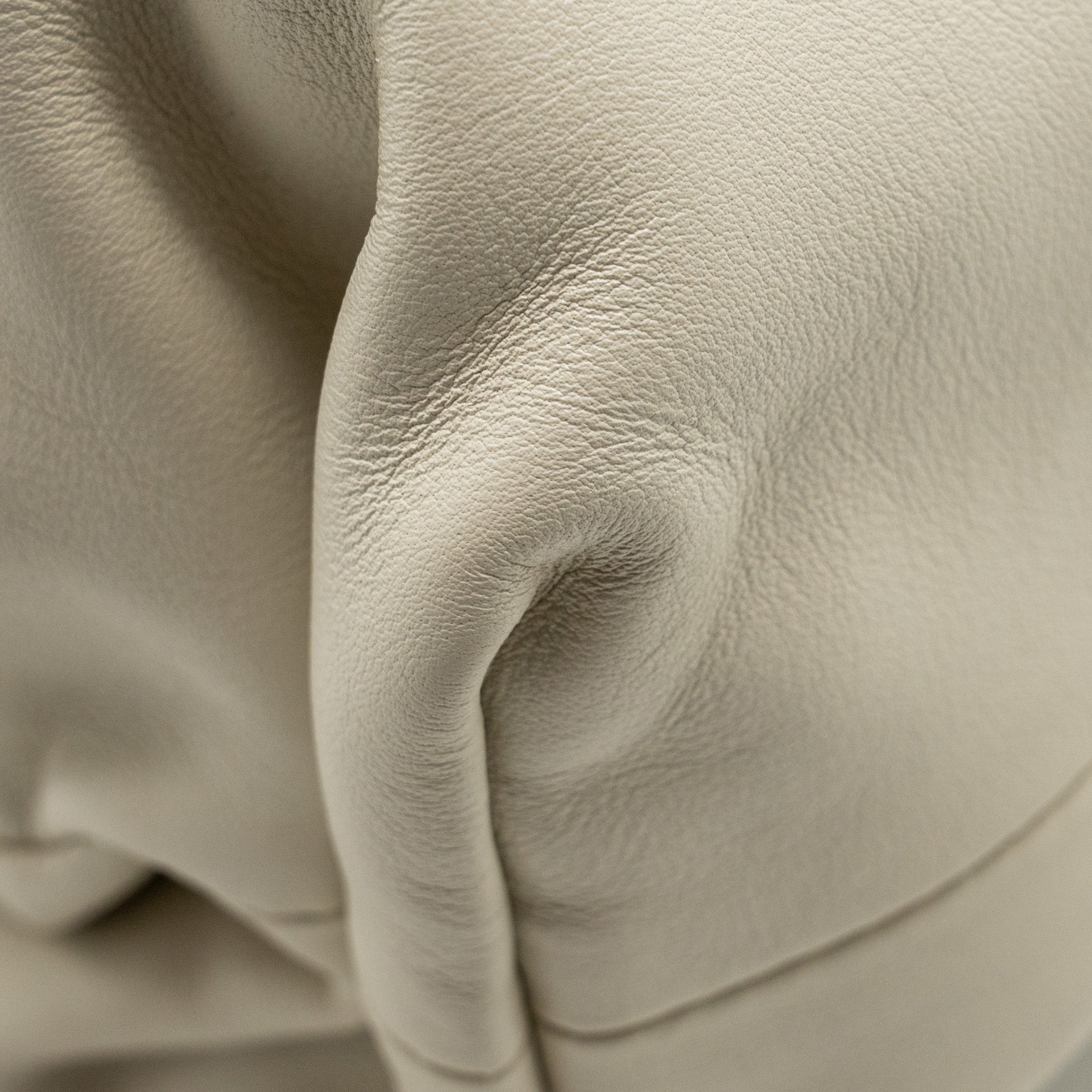 bottega-veneta-the-pouch-calfskin-white-ghw-1