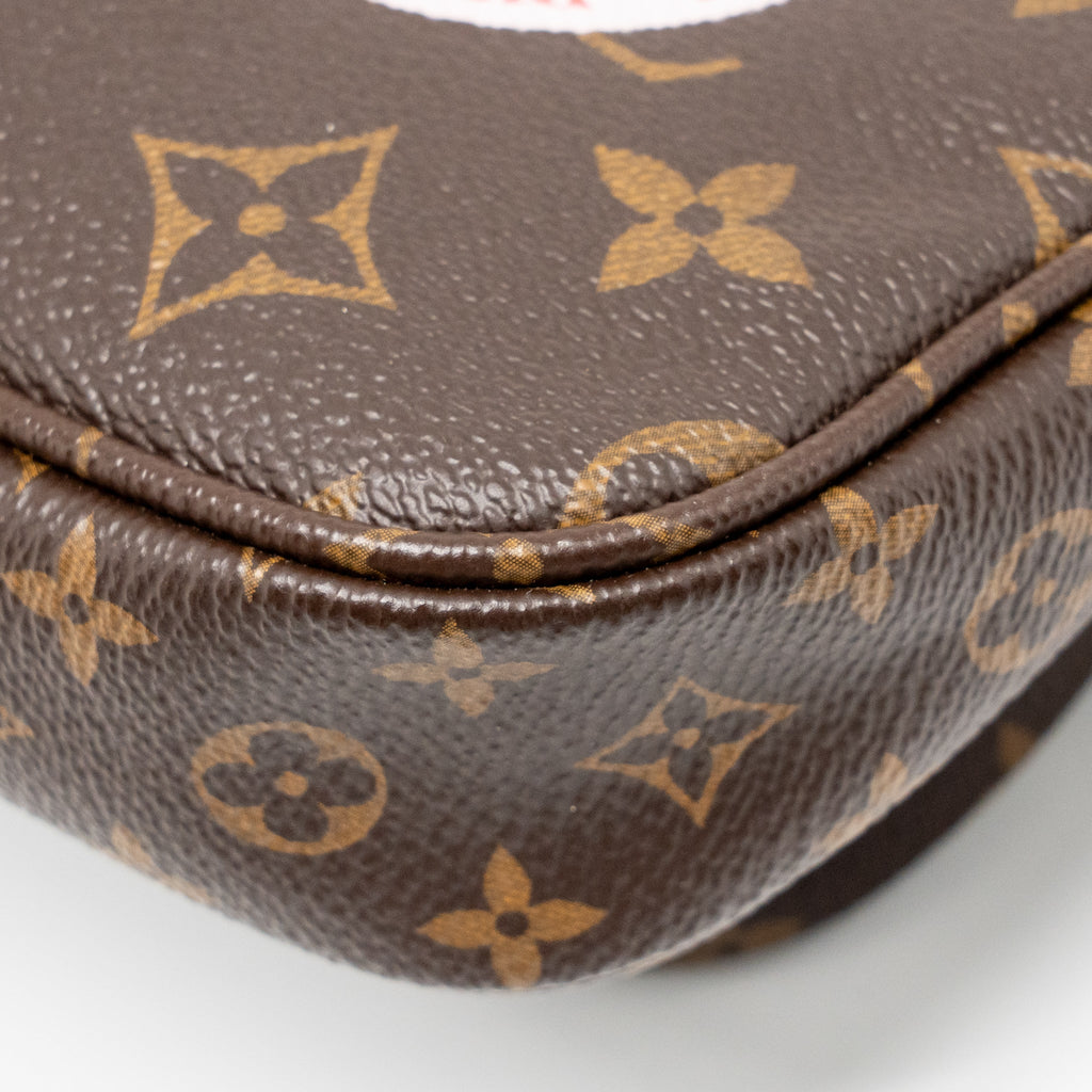 lv-bag-1