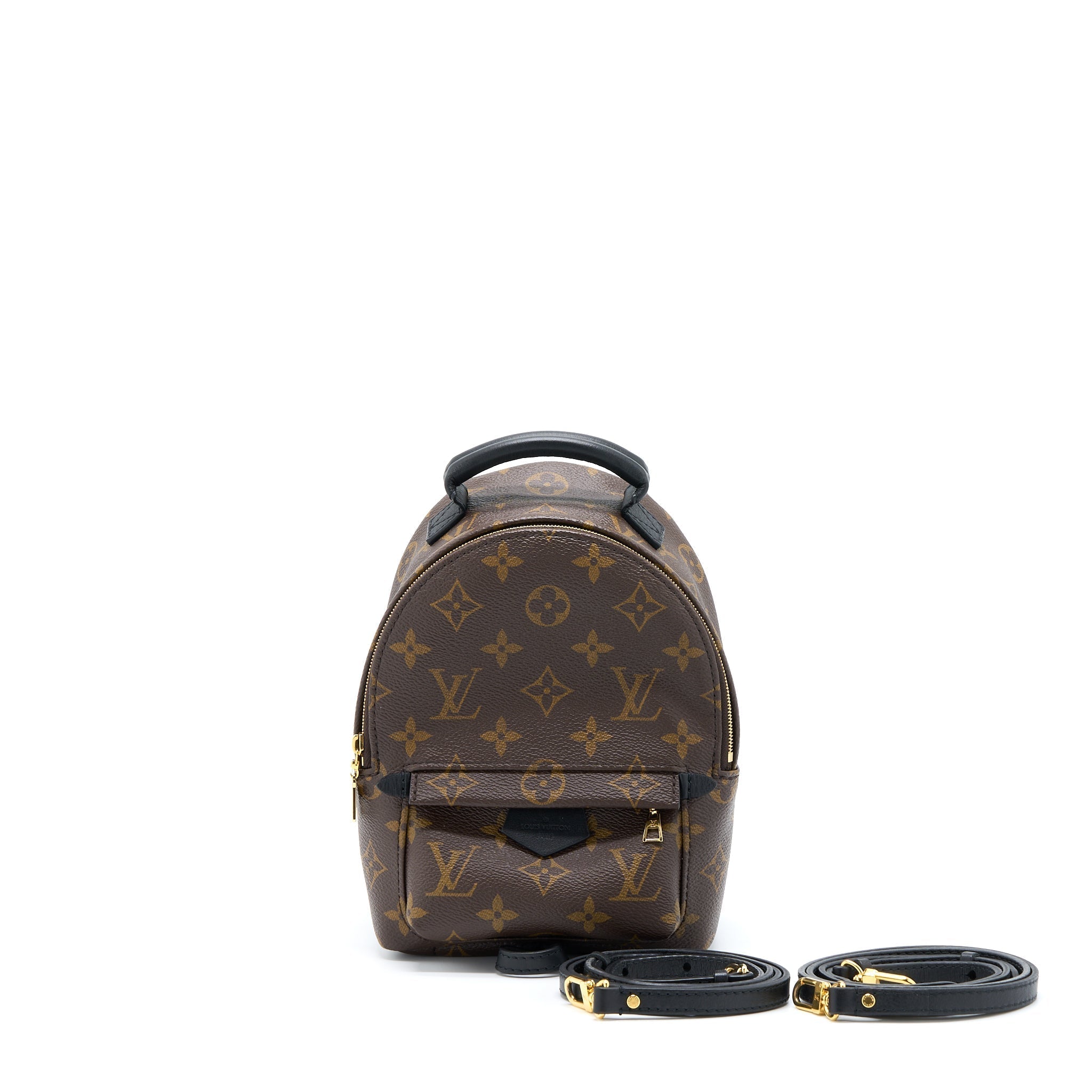 louis-vuitton-palm-spring-mini-backpack-monogram-canvas-ghw-4