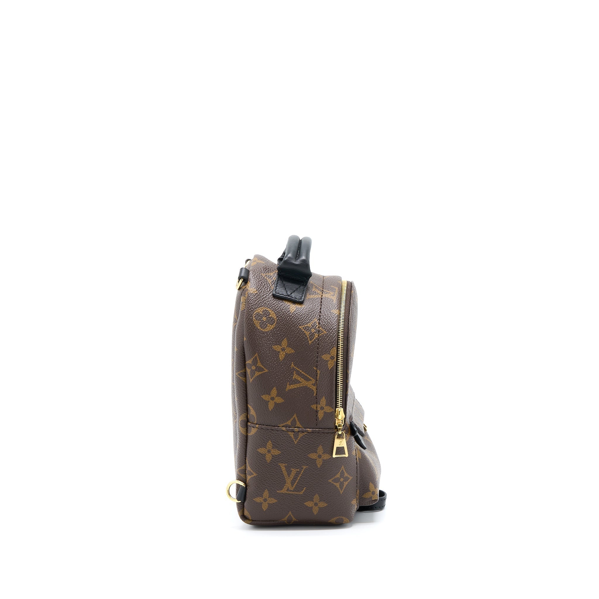 louis-vuitton-palm-spring-mini-backpack-monogram-canvas-ghw-4