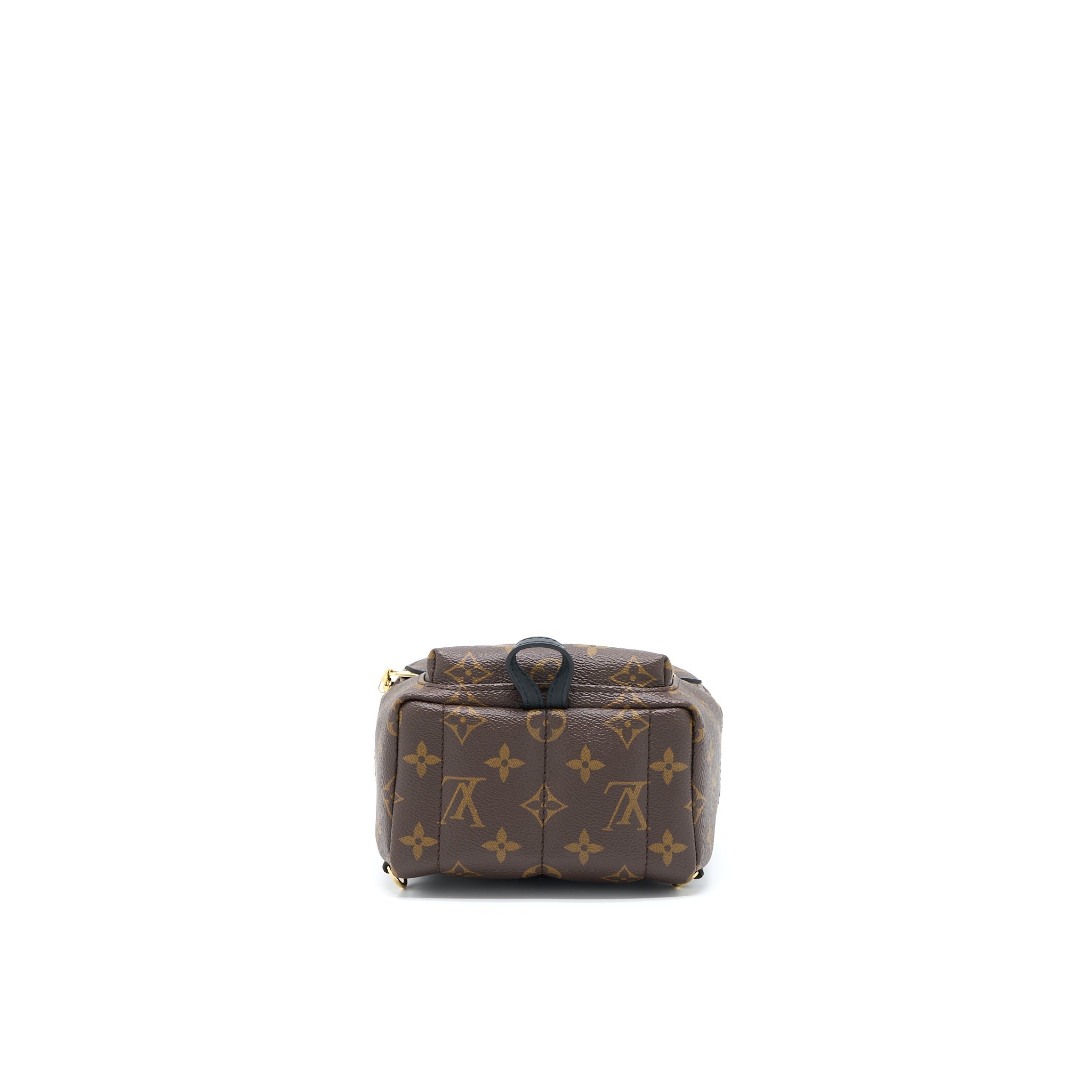 louis-vuitton-palm-spring-mini-backpack-monogram-canvas-ghw-4