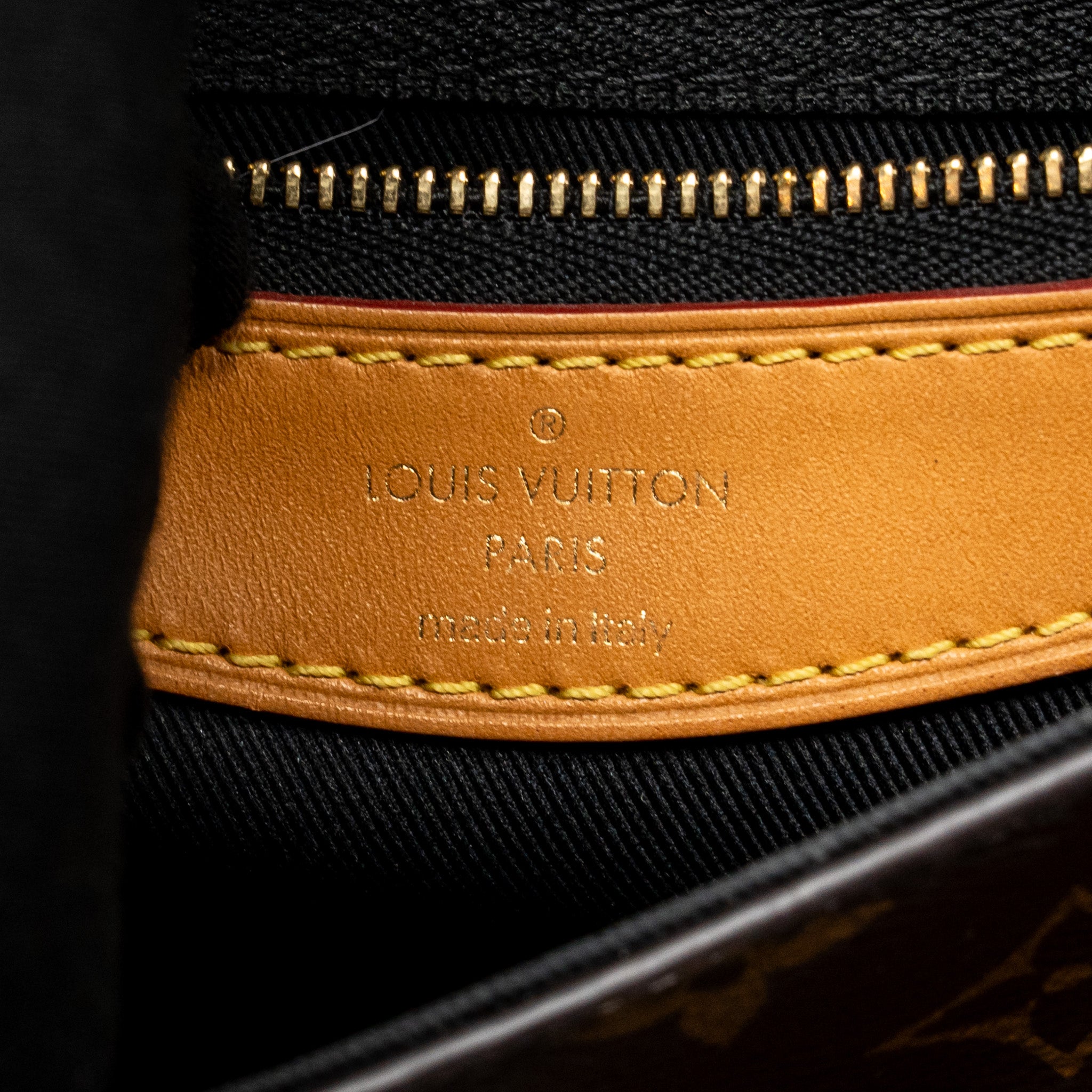 louis-vuitton-diane-bag-monogram-canvas-ghw-2