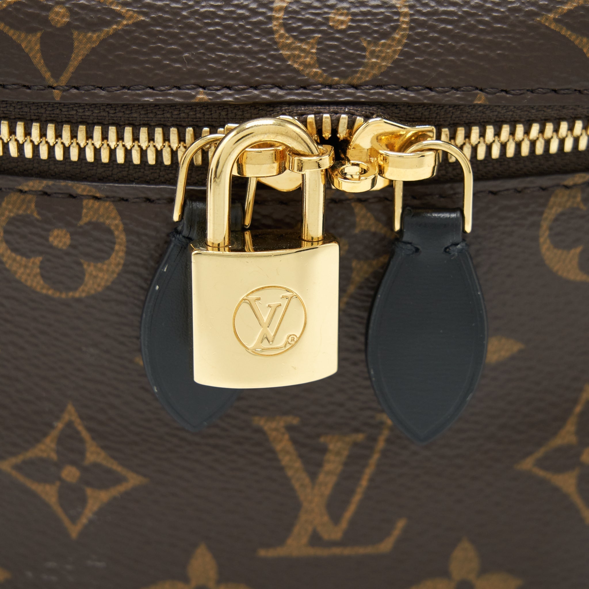 louis-vuitton-vanity-pm-monogram-canvas-ghw