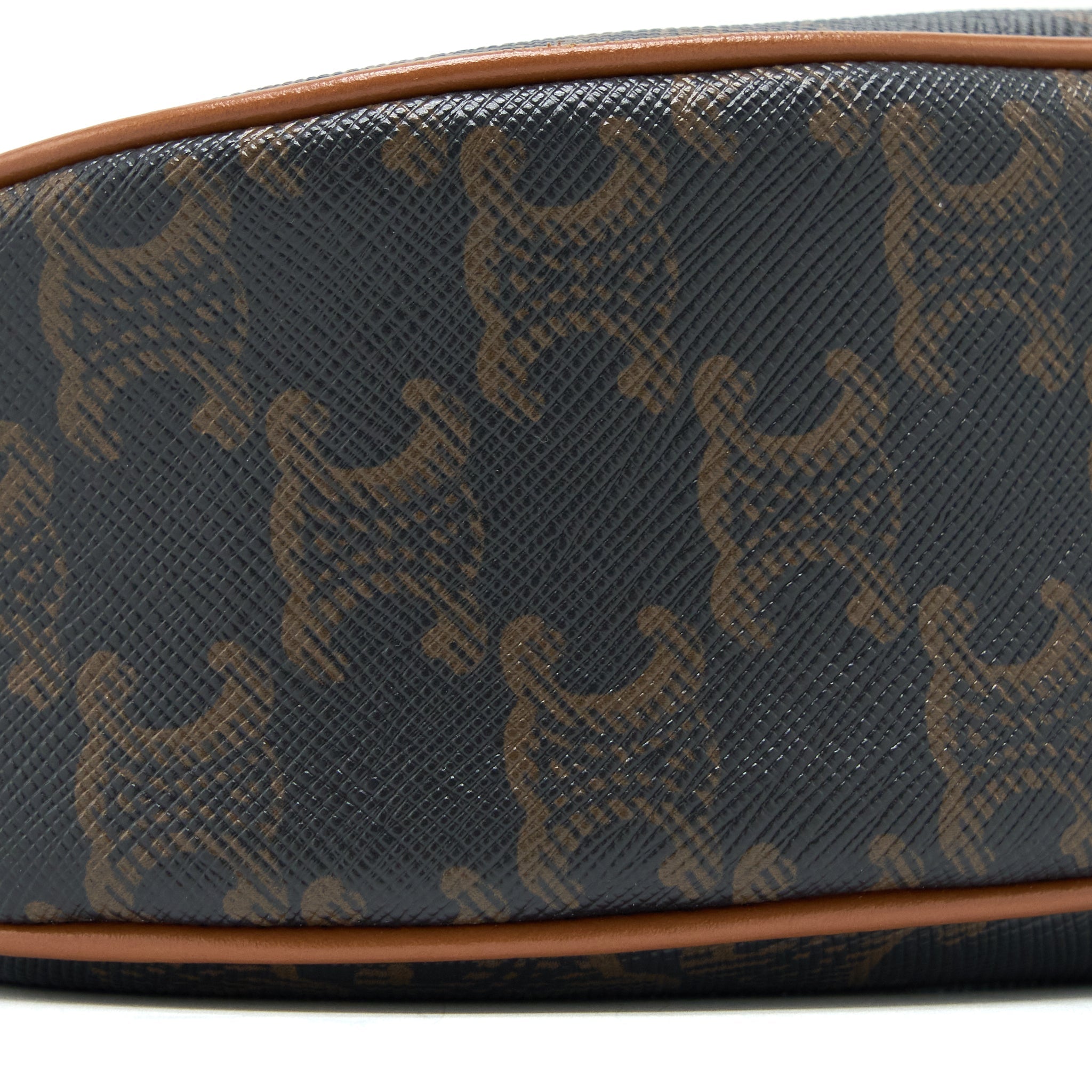 celine-ava-bag-triophe-canvas-calfskin-tan-ghw