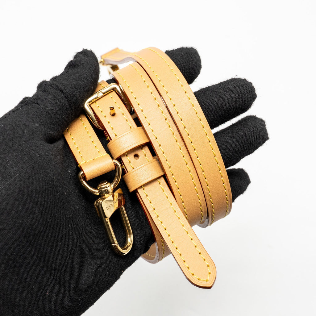 lv-nano-speedy-monogram