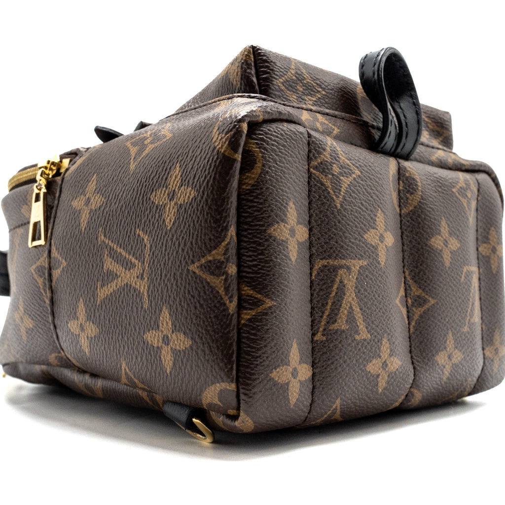 louis-vuitton-palm-spring-mini-backpack-monogram-canvas-2