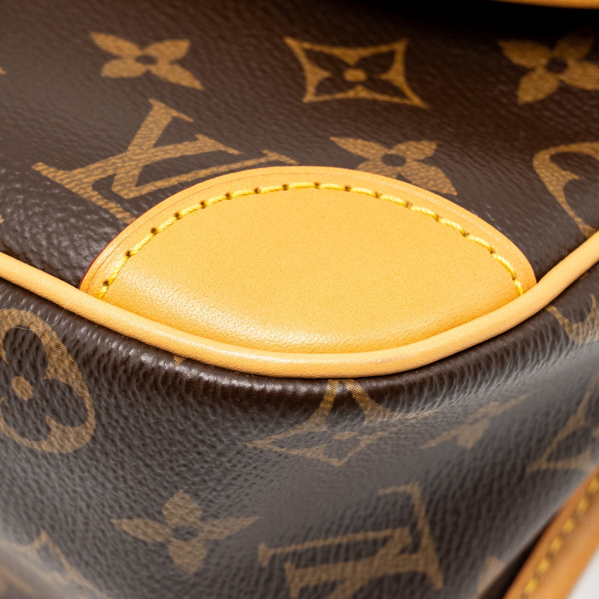 louis-vuitton-diane-bag-with-fuchsia-strap-monogram-canvas-ghw