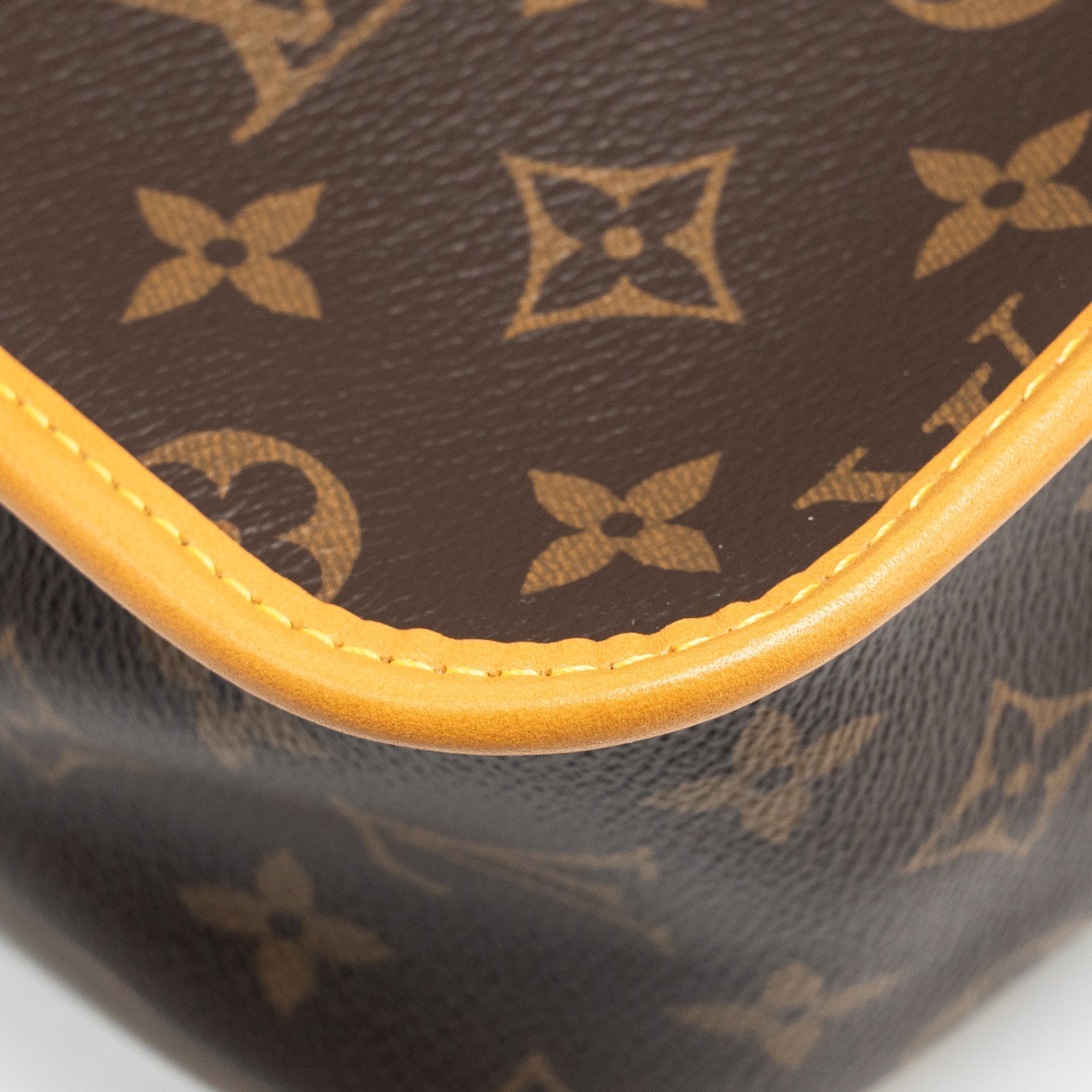 louis-vuitton-diane-bag-with-fuchsia-strap-monogram-canvas-ghw