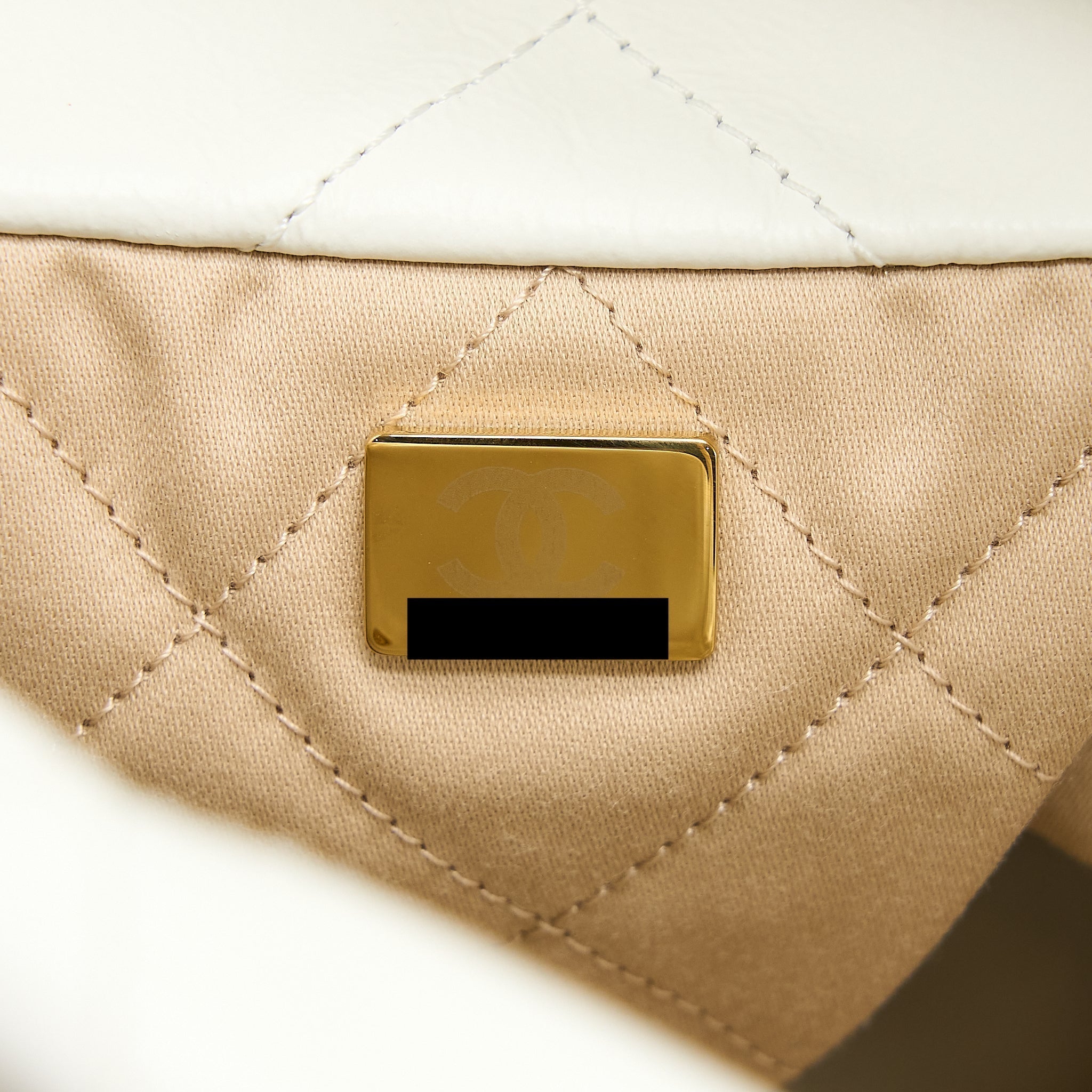 chanel-large-22-bag-calfskin-white-brushed-ghw-microchip