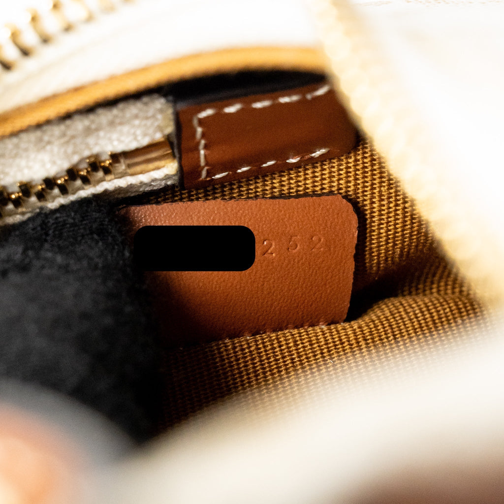 celine-mini-ava-bag-triomphe-canvas-calfskin-white-brown-ghw-1
