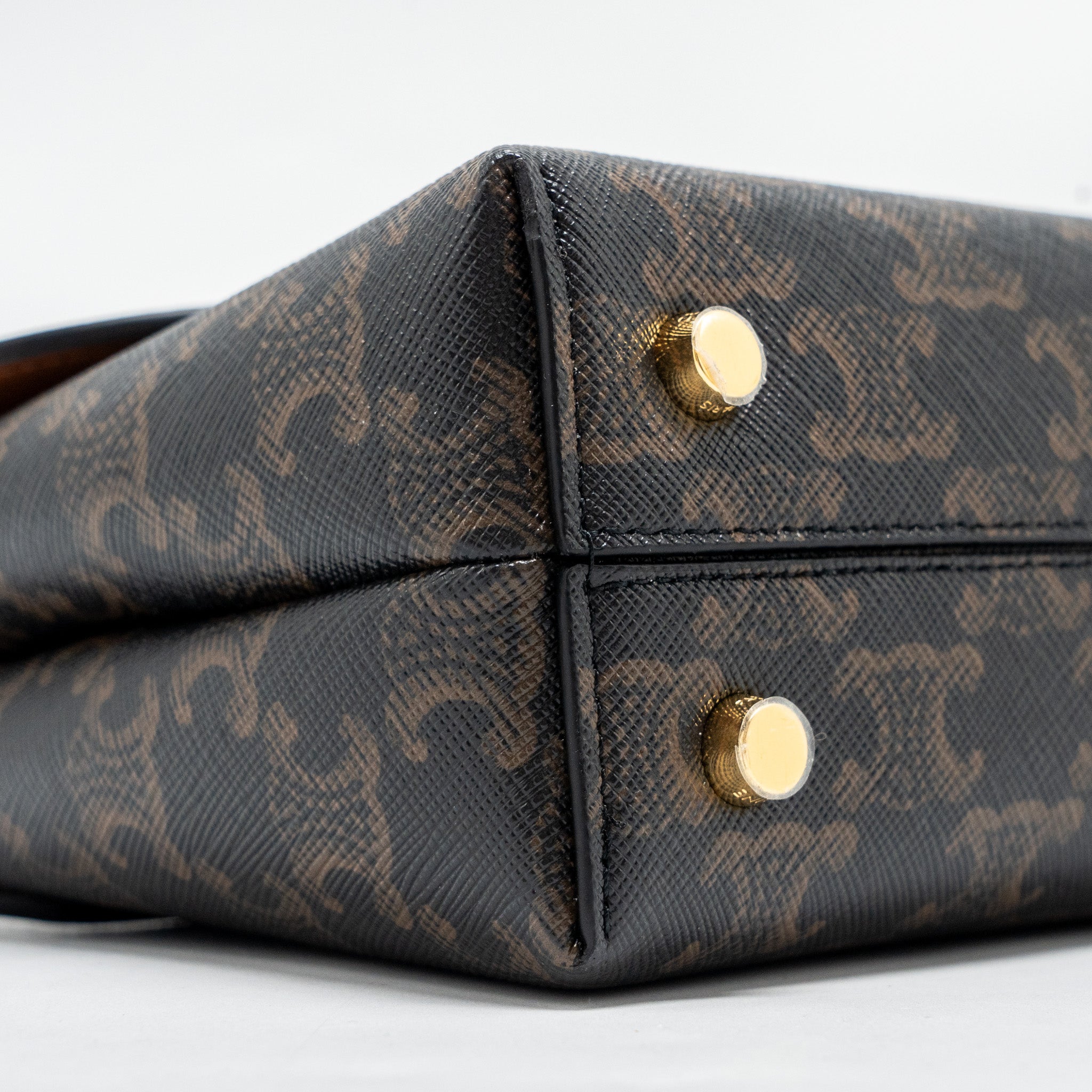 celine-bag