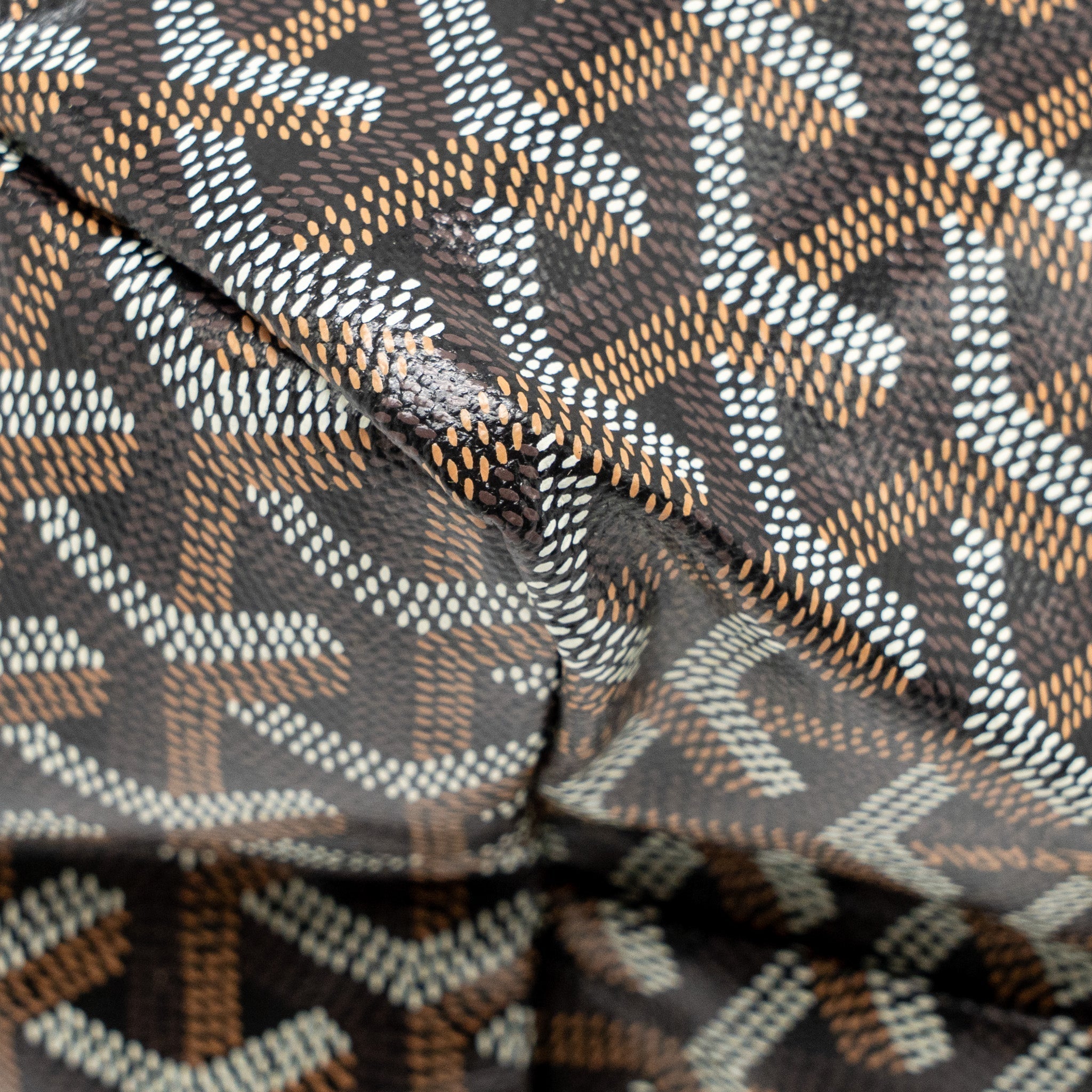 goyard-saint-louis-pm-tote-goyardine-canvas-calfskin-black-shw