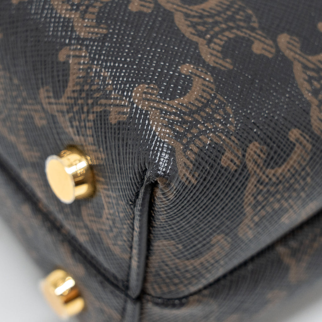 celine-bag