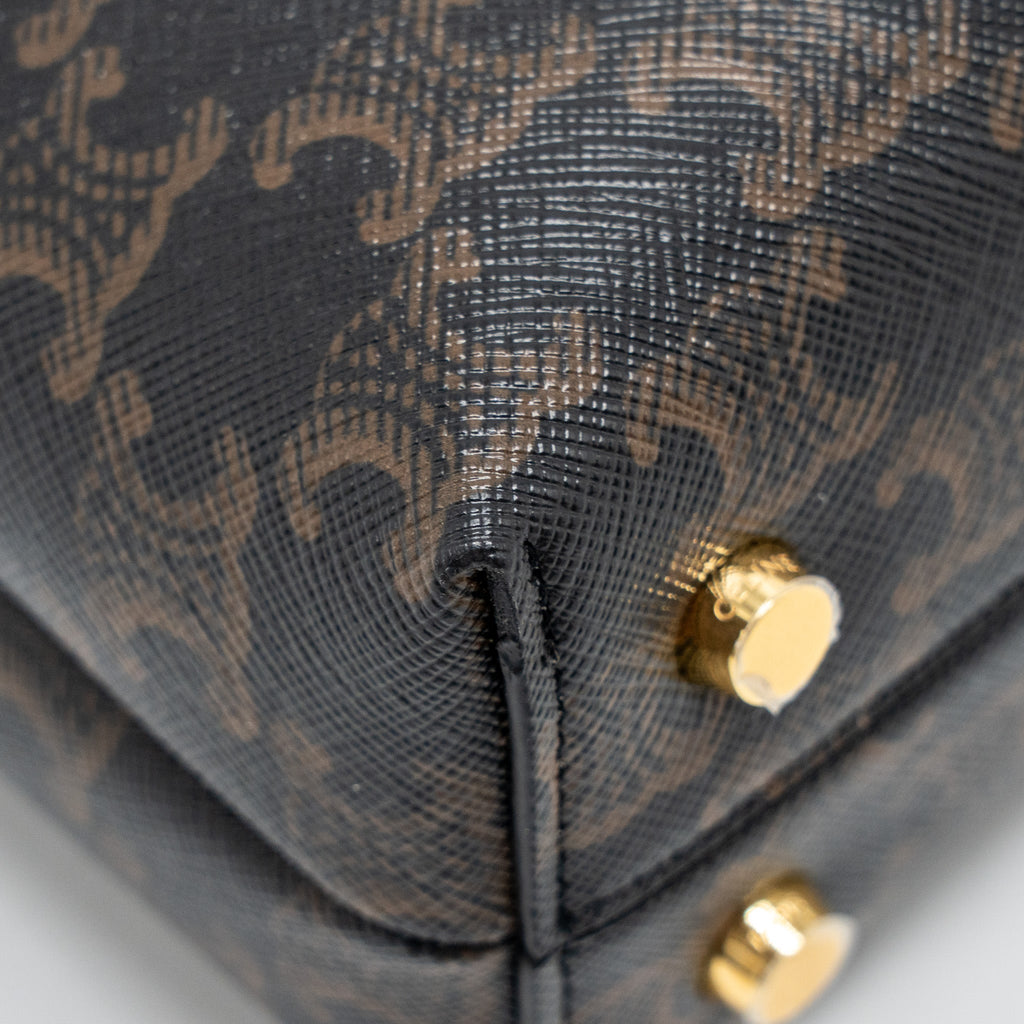 celine-bag