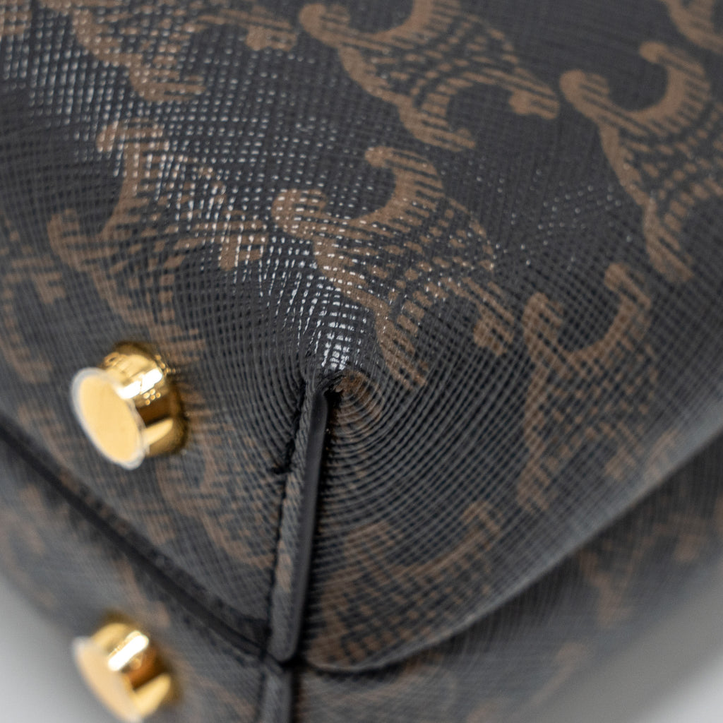 celine-bag