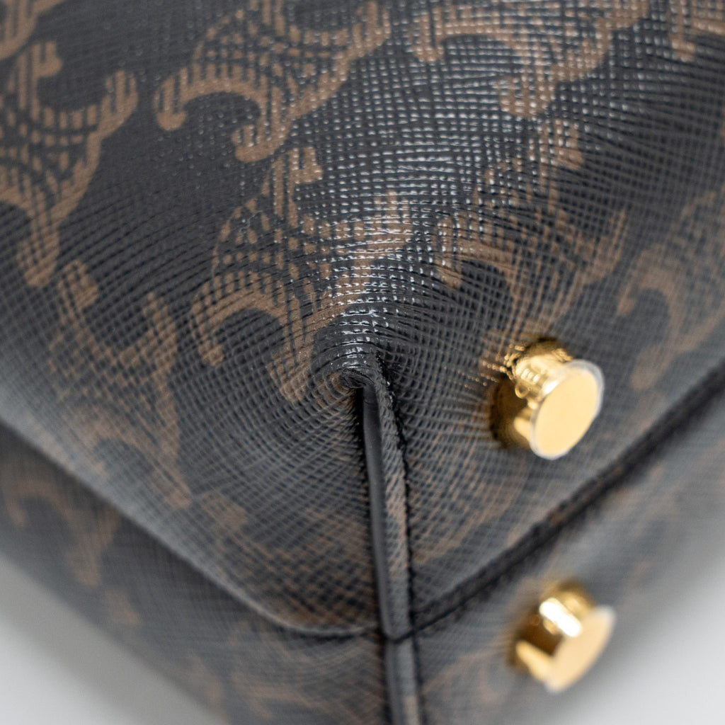 celine-bag