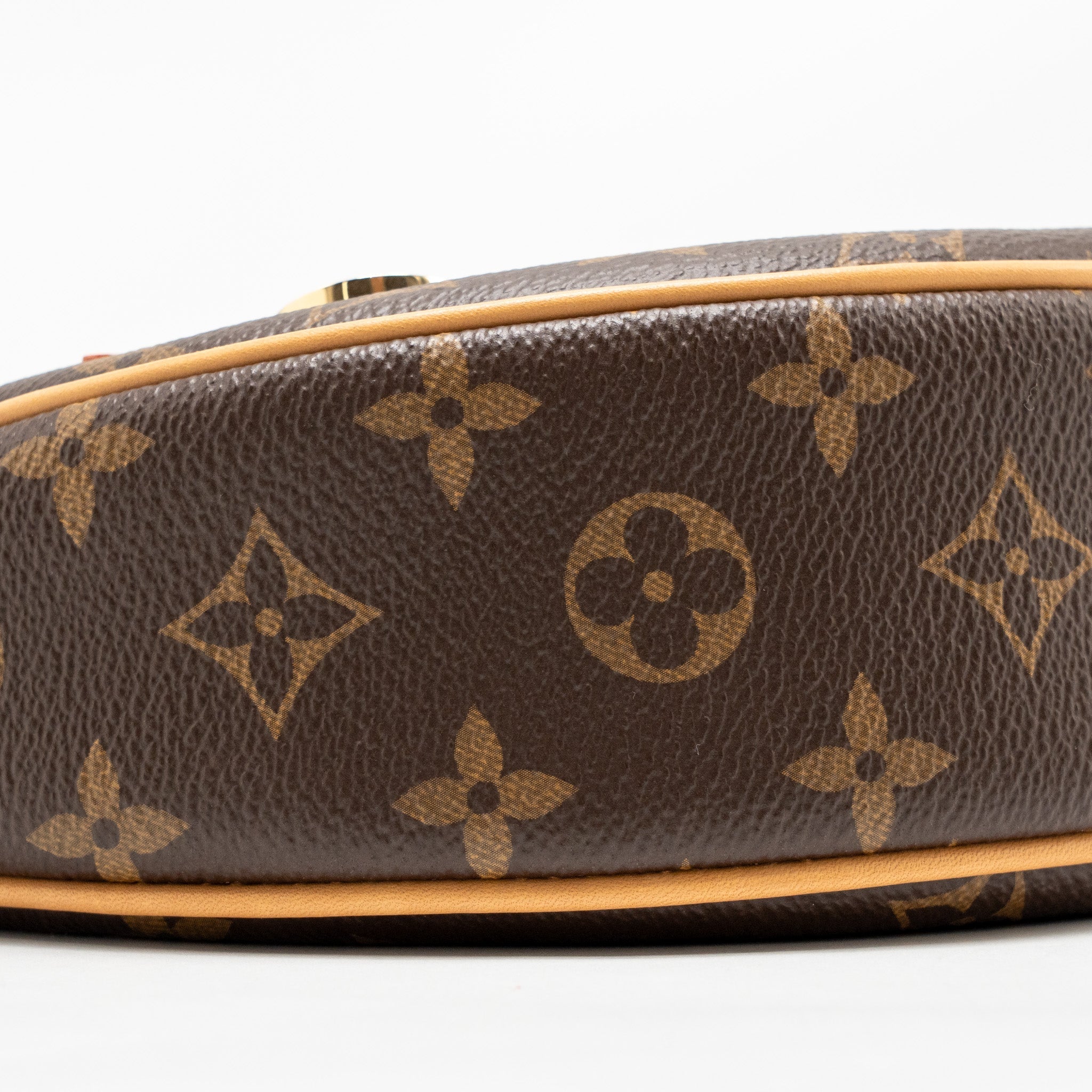 louis-vuitton-loop-bag-monogram-canvas-ghw-2